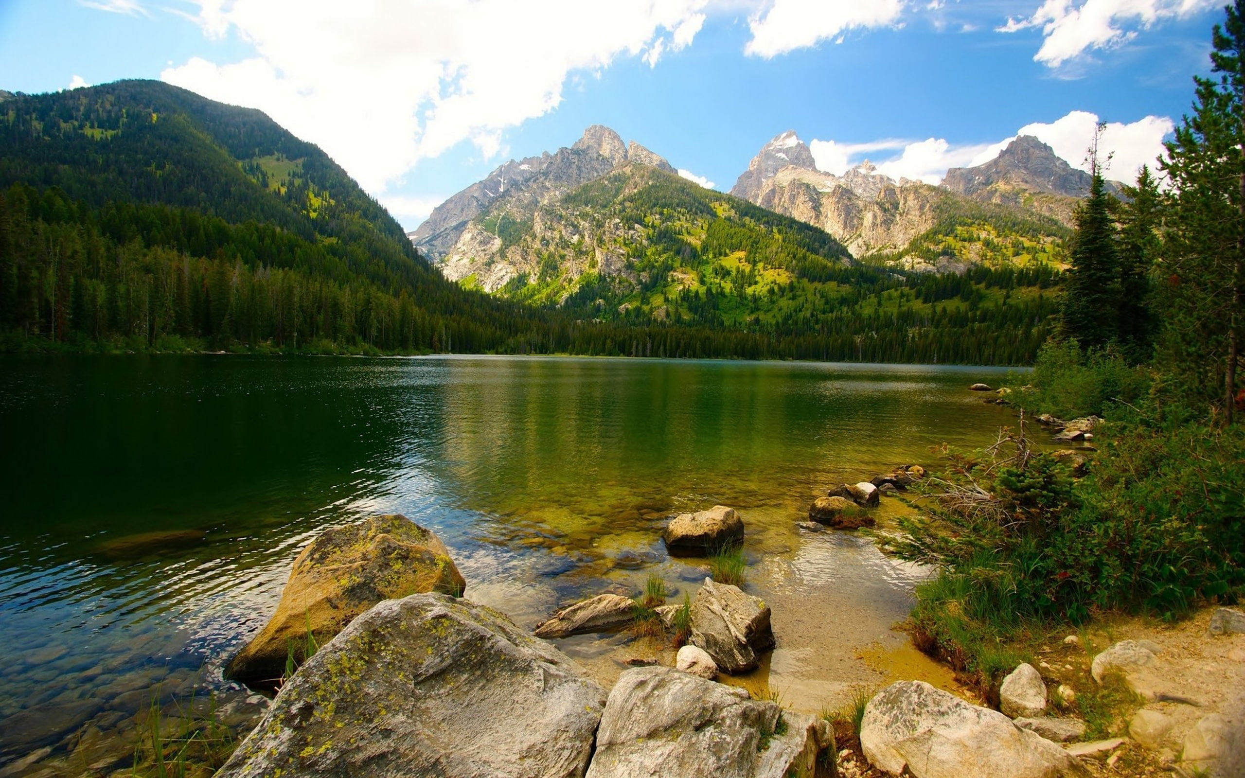 fog, ultrahd, lake, mountain, nature, tree, k, landscape, reflection, ice, 2K, HD Wallpaper
