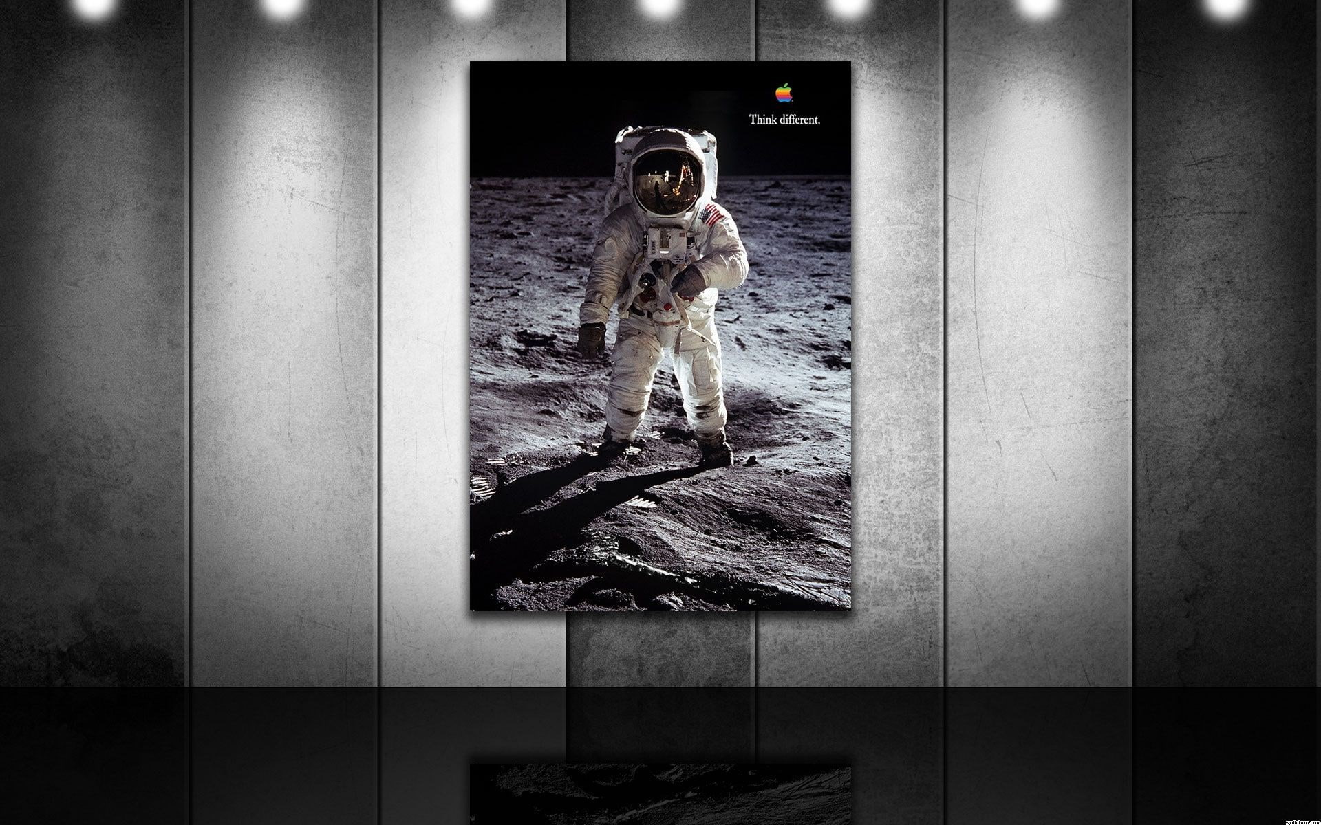 one animal, domestic animals, domestic, full length, bizarre, mammal, dog, clothing, flooring, 1080P, buzz aldrin, pets, one person, architecture, portrait, HD Wallpaper