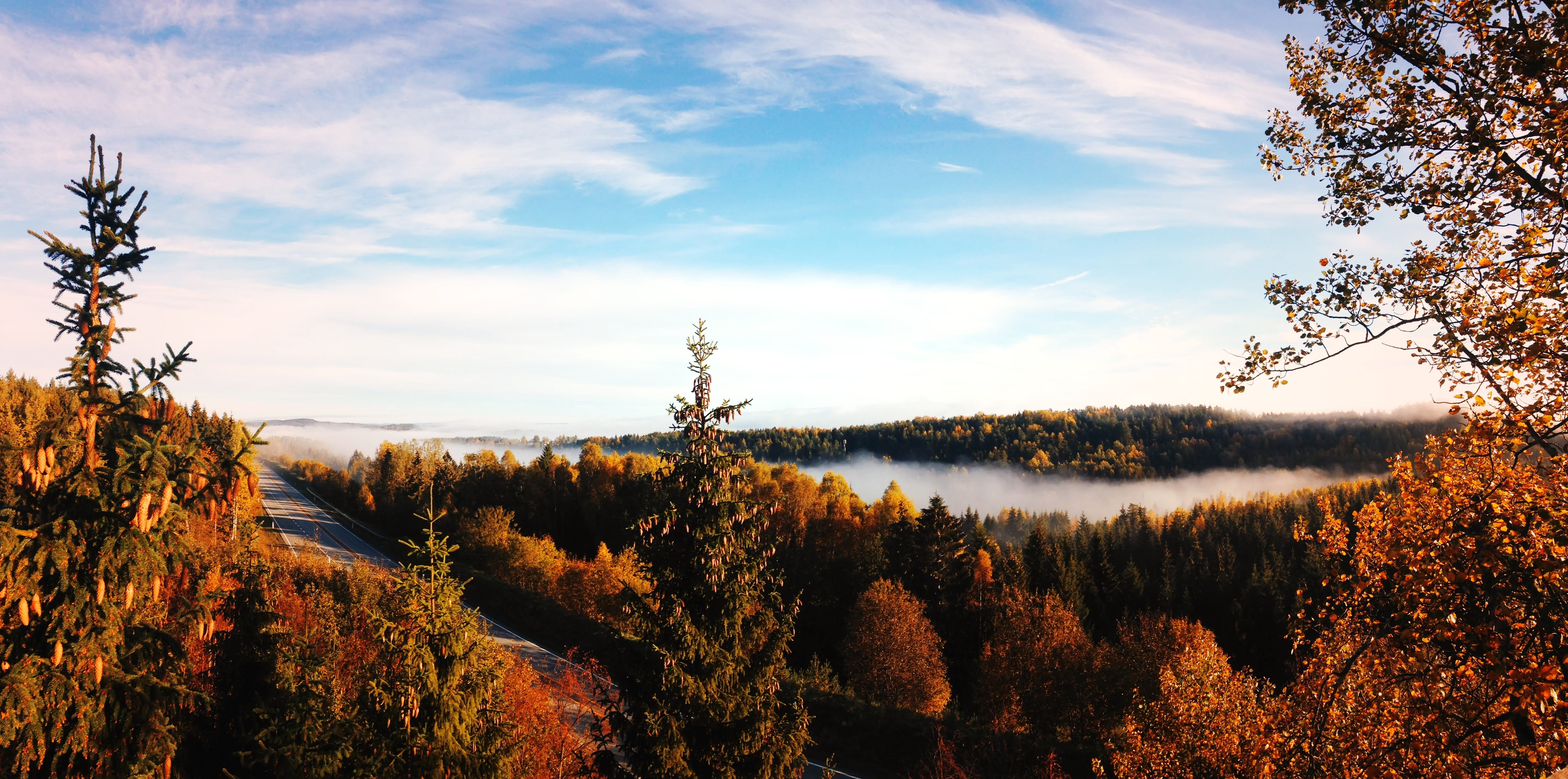 beauty in nature, day, 4K, light, blue, tranquility, plant, backdrop, no people, change, tranquil scene, autumn, tree, season, scene, weather, water, lake, HD Wallpaper