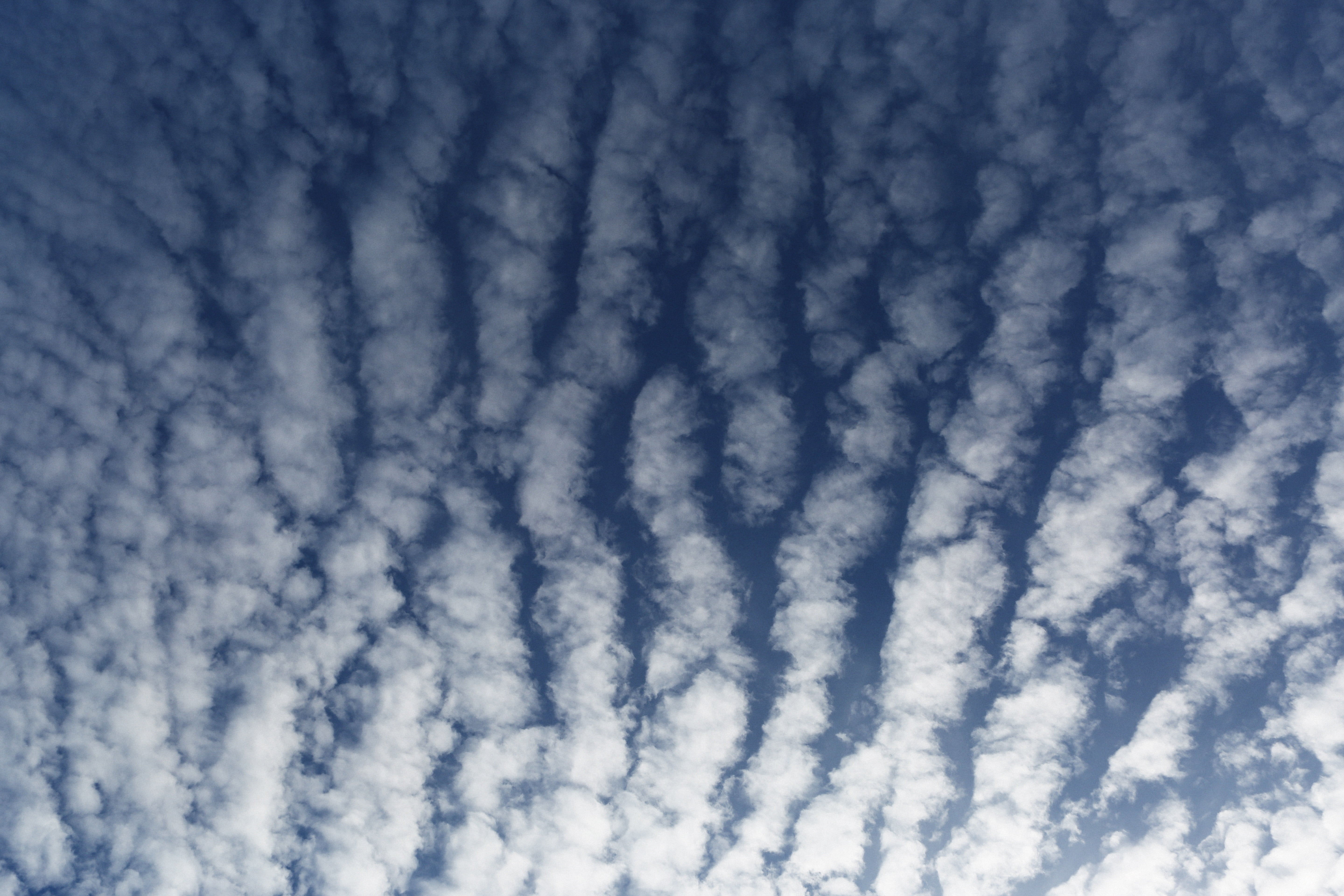white, blue, meteorology, backgrounds, atmosphere, cumulus Cloud, no people, space, full frame, day, outdoors, scenics - nature, cloud - Sky, light, sky, HD Wallpaper