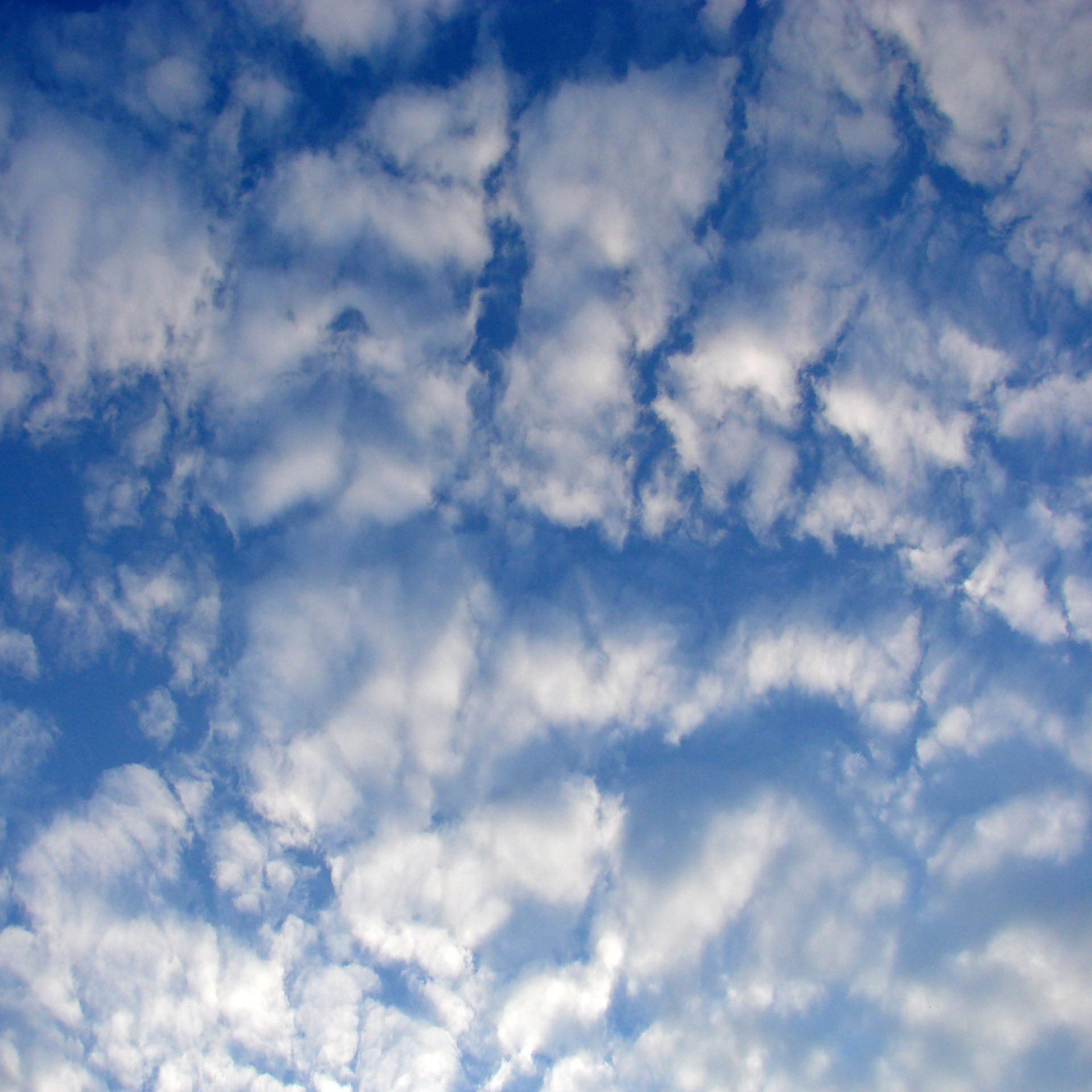 wind, weather, dramatic sky, overcast, 1080P, clouds, cloud - sky, cumulus, beauty in nature, cloudscape, mid-air, fluffy, high, nature, climate, meteorology, Phone HD Wallpaper