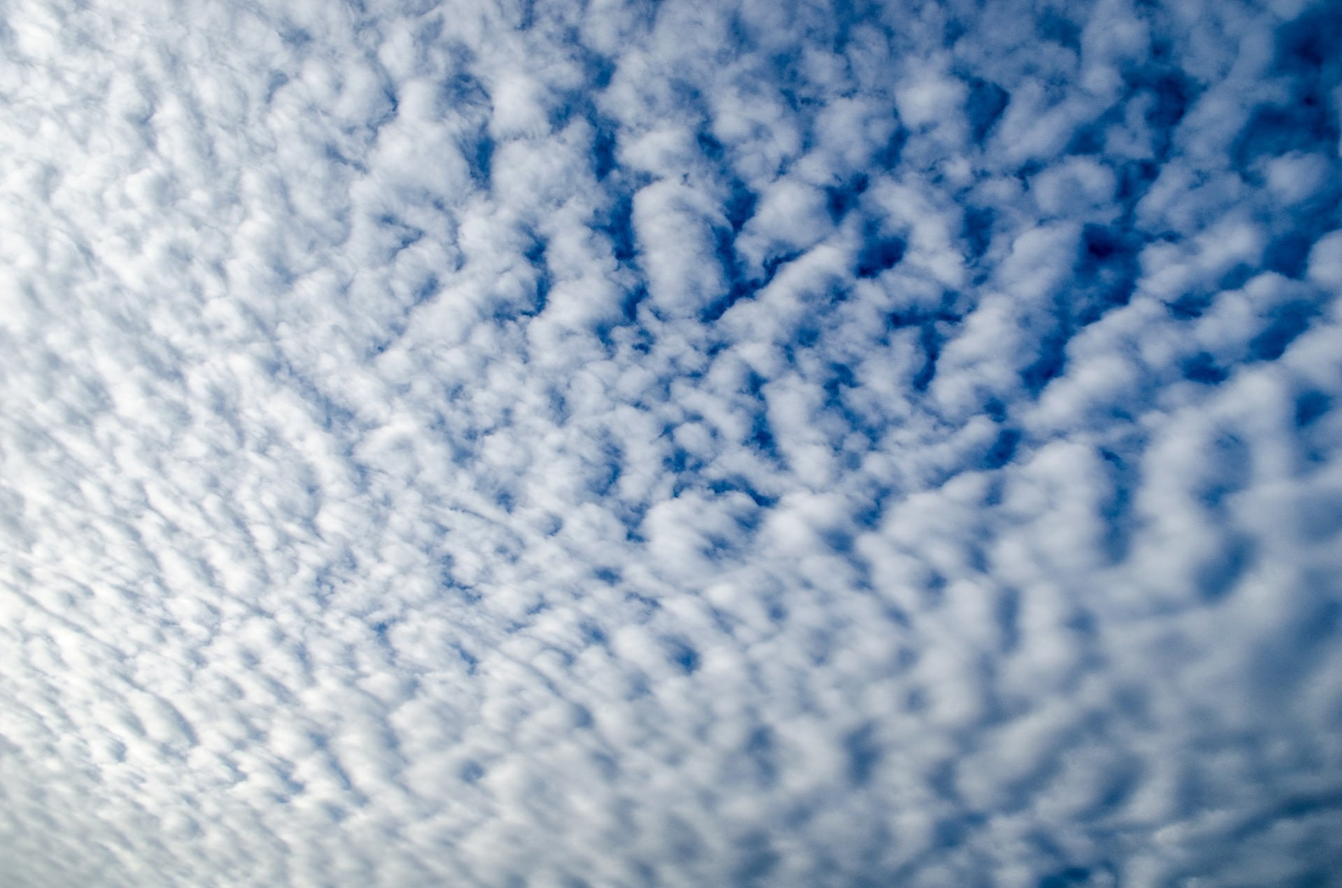 1080P, cloudscape, day, climate, cloudy, high, winter, bright, tranquility, sky, white color, beautiful, environment, heavenly, fluffy, nature, outdoors, HD Wallpaper