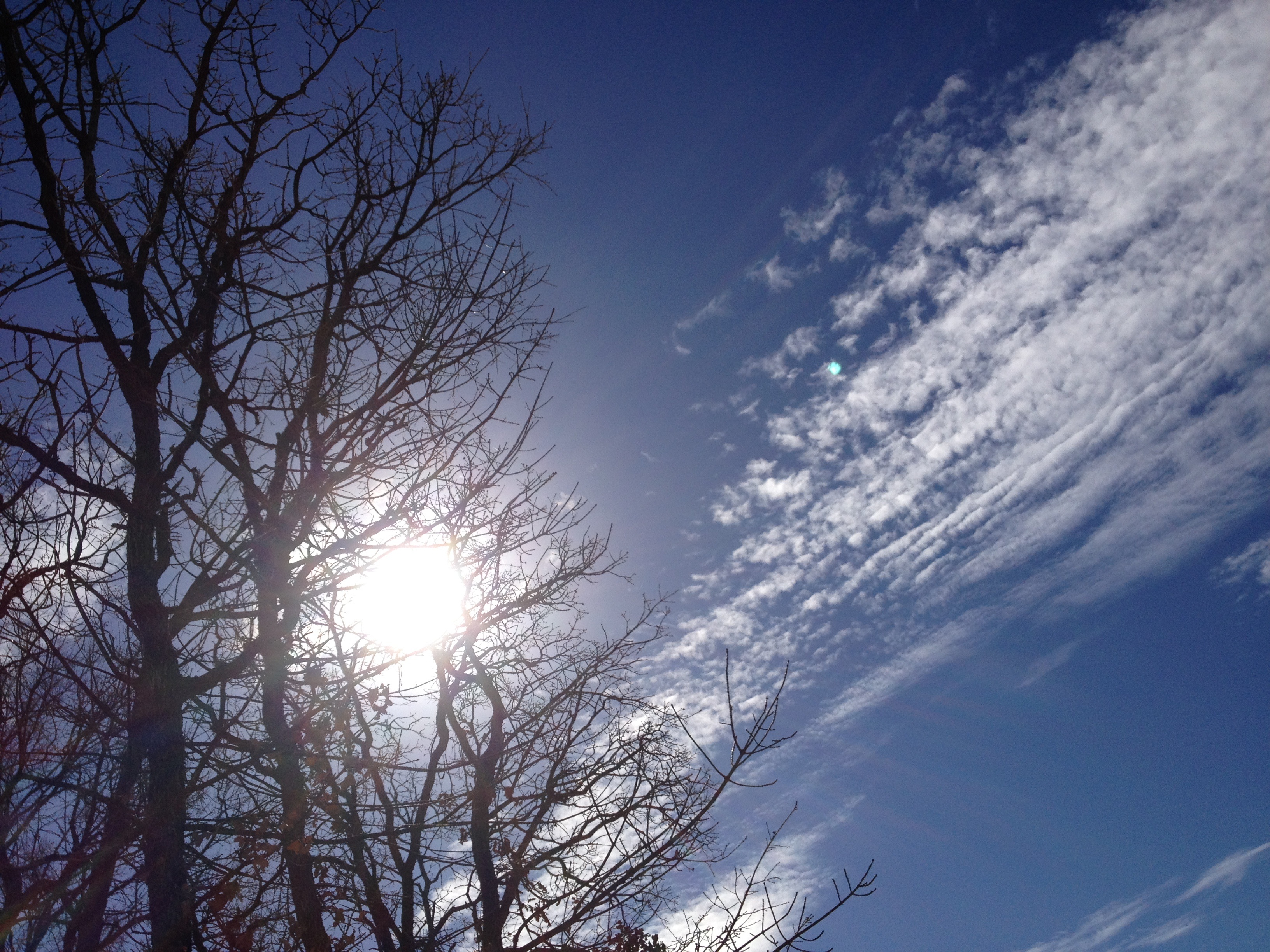 nature, meteorology, space, view, no people, light, day, color, sunny, 2K, clear, summer, plant, fluffy, cloudscape, weather, heaven, spring, climate, HD Wallpaper