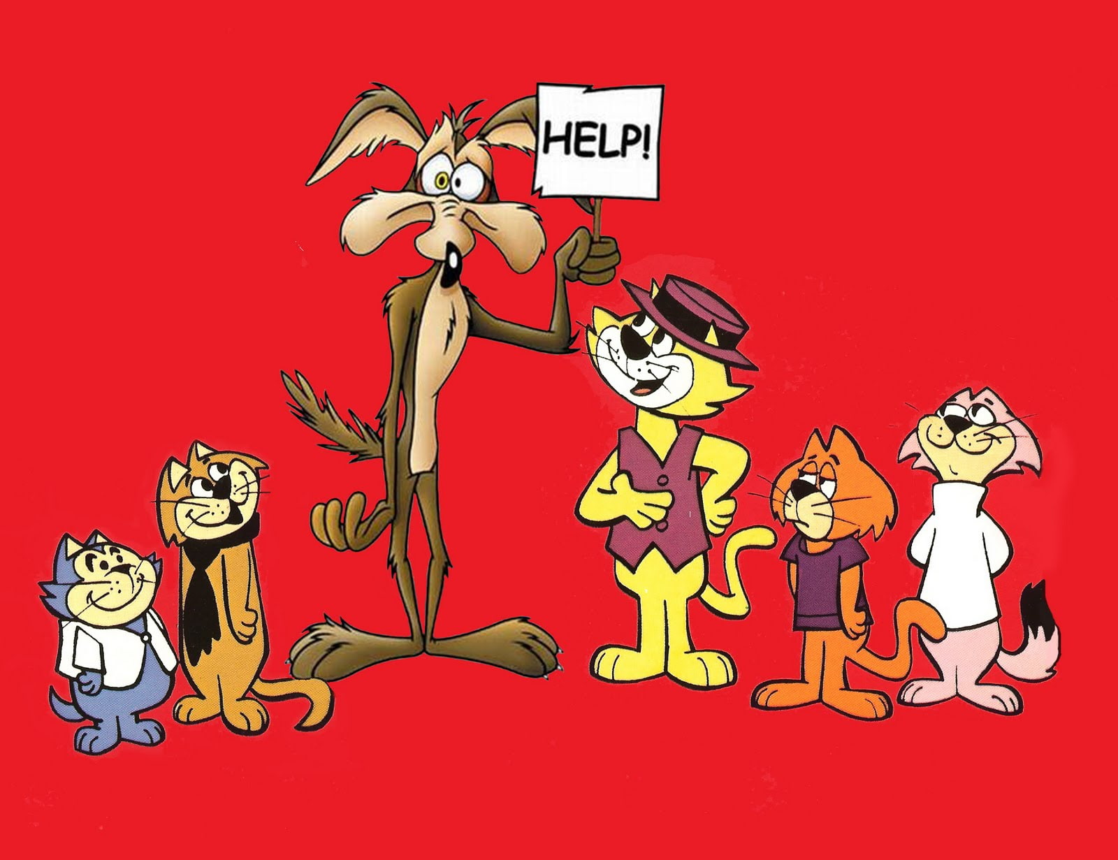 720P, wile, looney, coyote, HD Wallpaper