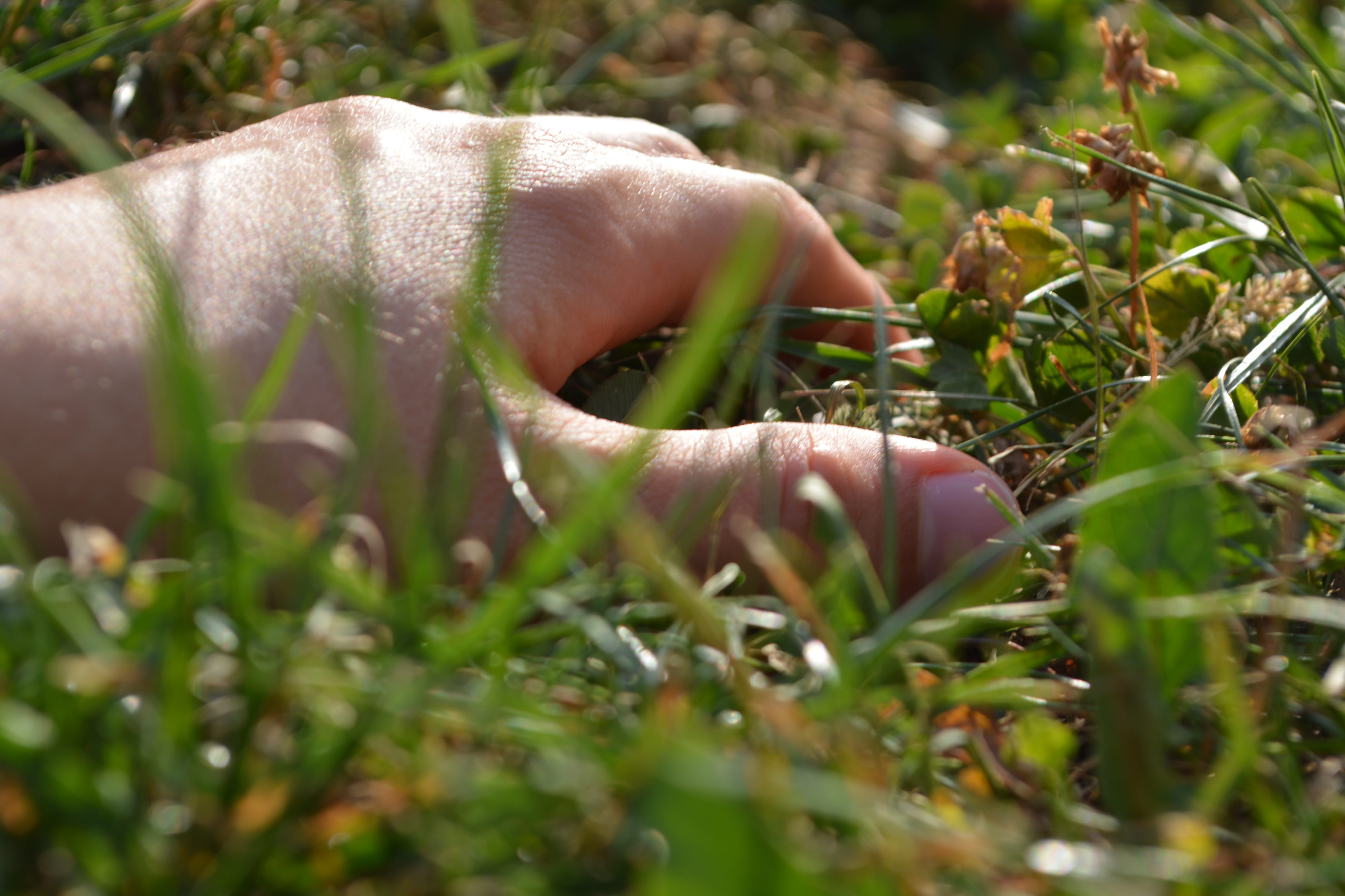 rest, day, nature, plant, one person, land, summer, finger, 5K, feelings, vulnerability, close-up, ray of hope, luck, grass, freshness, satisfaction, green color, HD Wallpaper