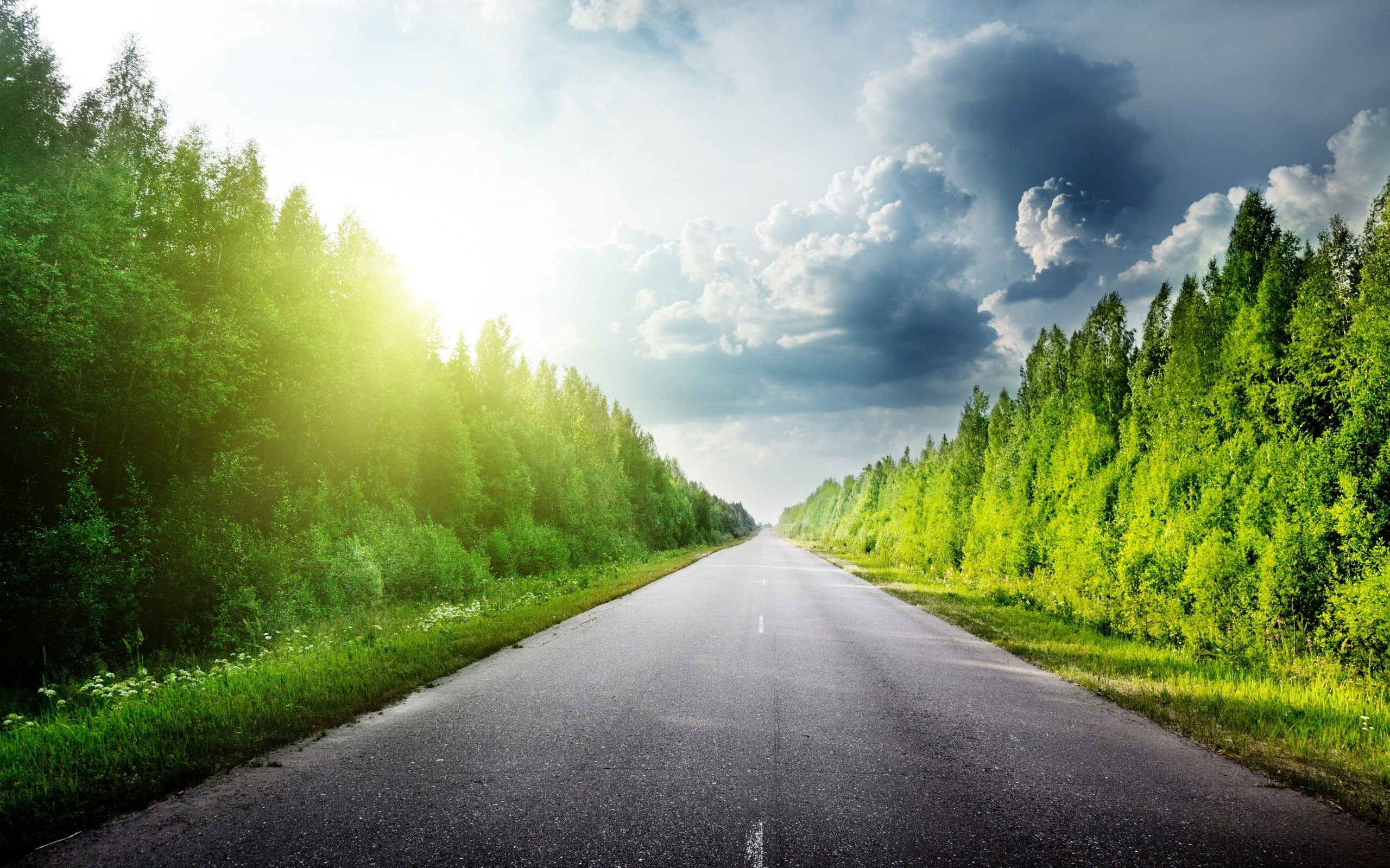 tranquil scene, cloud - sky, tree, journey, road, leaf, plant, green, beauty in nature, 2K, nature, trees, green color, non-urban scene, transportation, HD Wallpaper