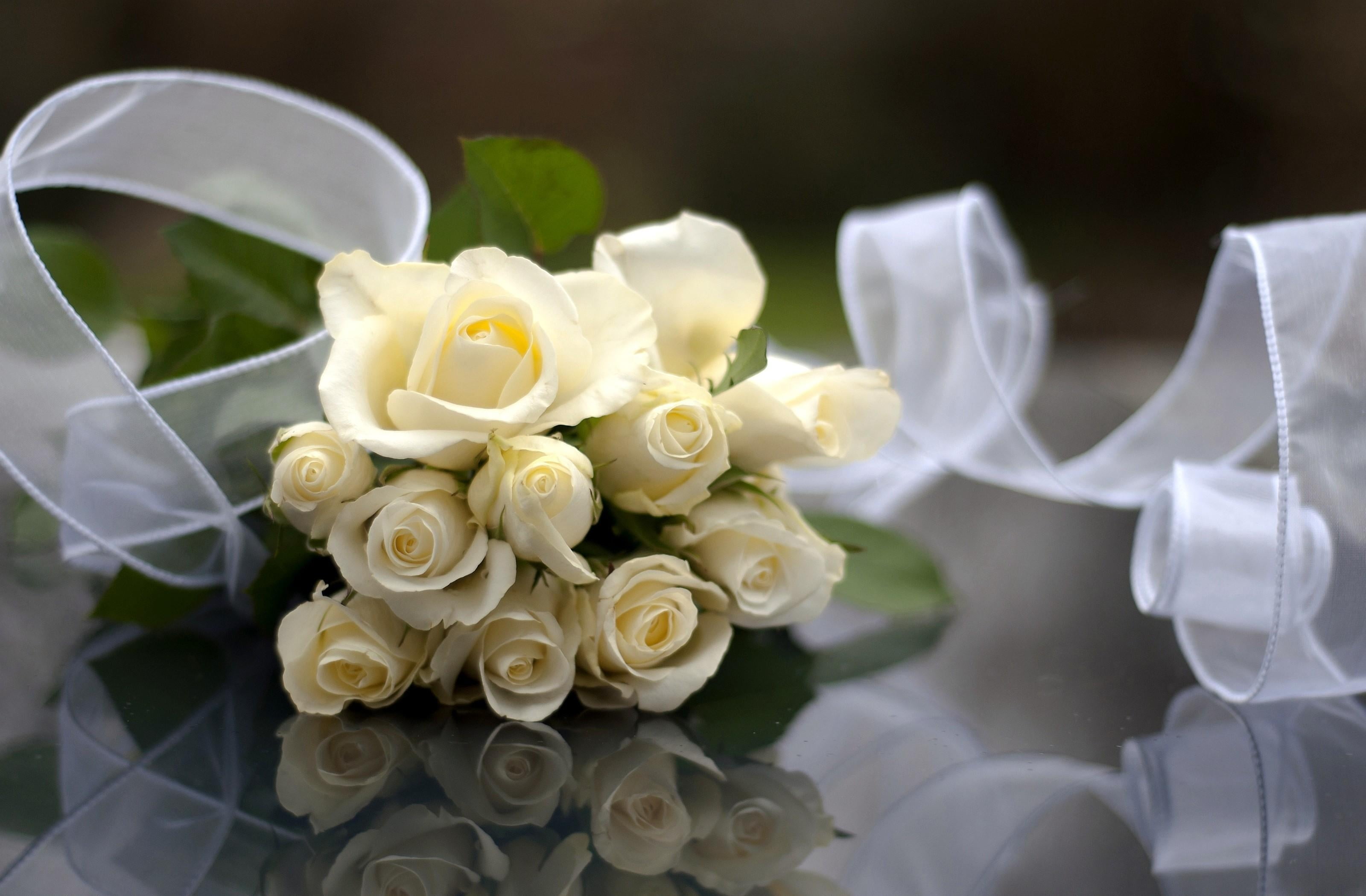 vulnerability, white color, beauty in nature, freshness, no People, romance, life events, weddings, love, flowers, celebration, flower arrangement, arrangement, HD Wallpaper