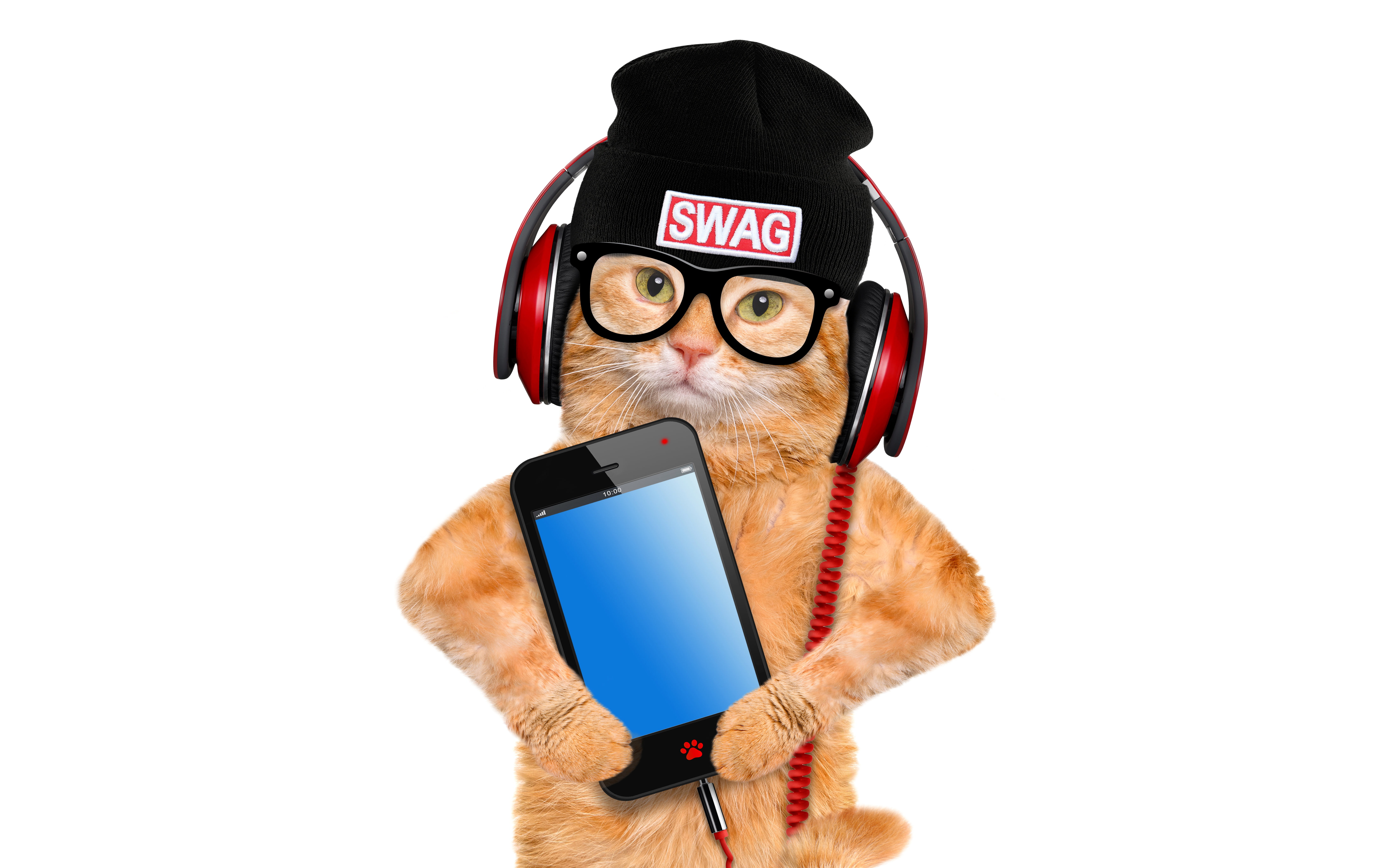 5K, white background, cat, humor, red, smartphone, glasses, headphones, hat, photoshop, HD Wallpaper