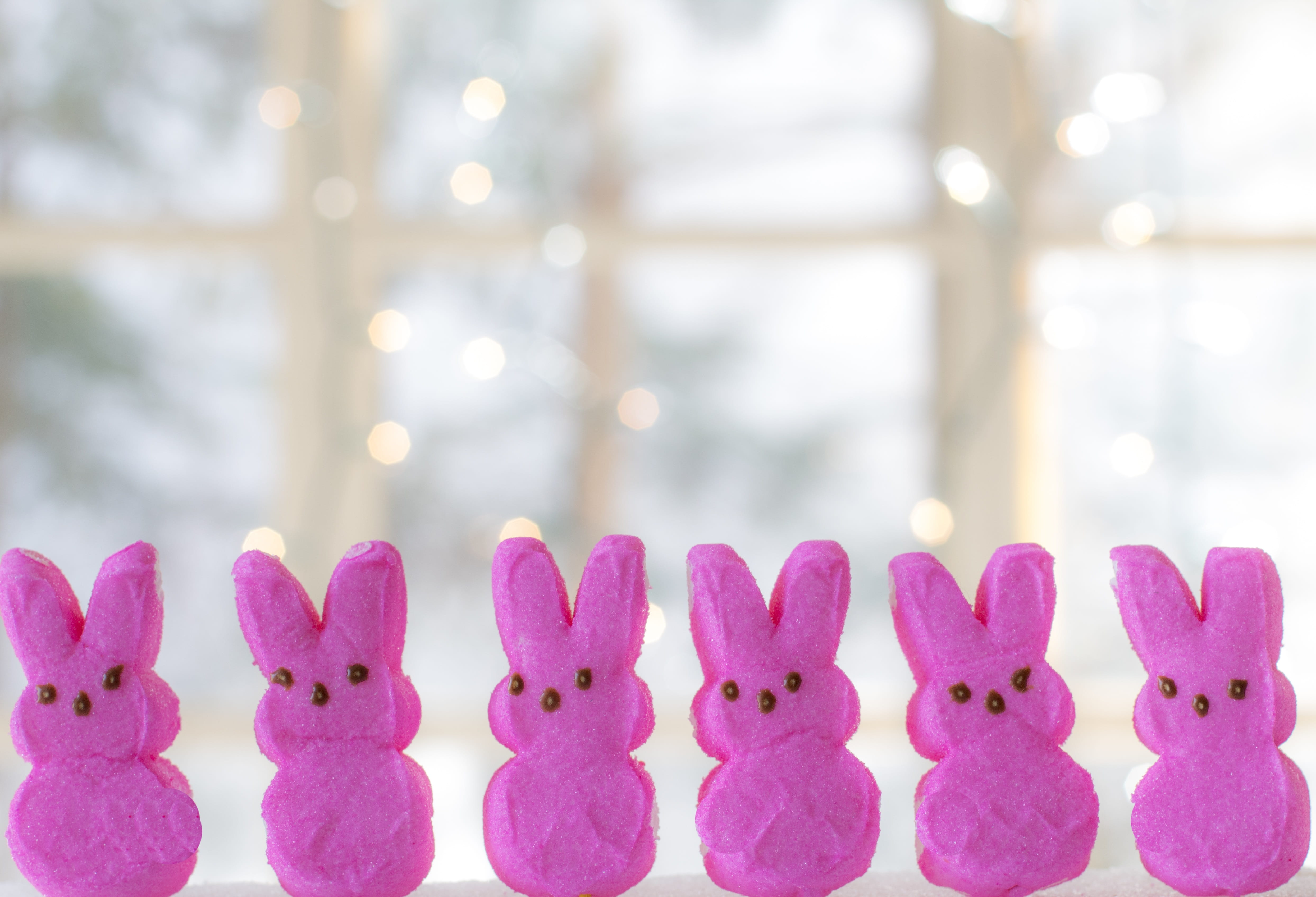 easter, love, marshmallow, six, flower, rabbit, indulgence, candy, 4K, childhood, purple, side by side, creativity, sweet food, decoration, sweet, bunnies, HD Wallpaper
