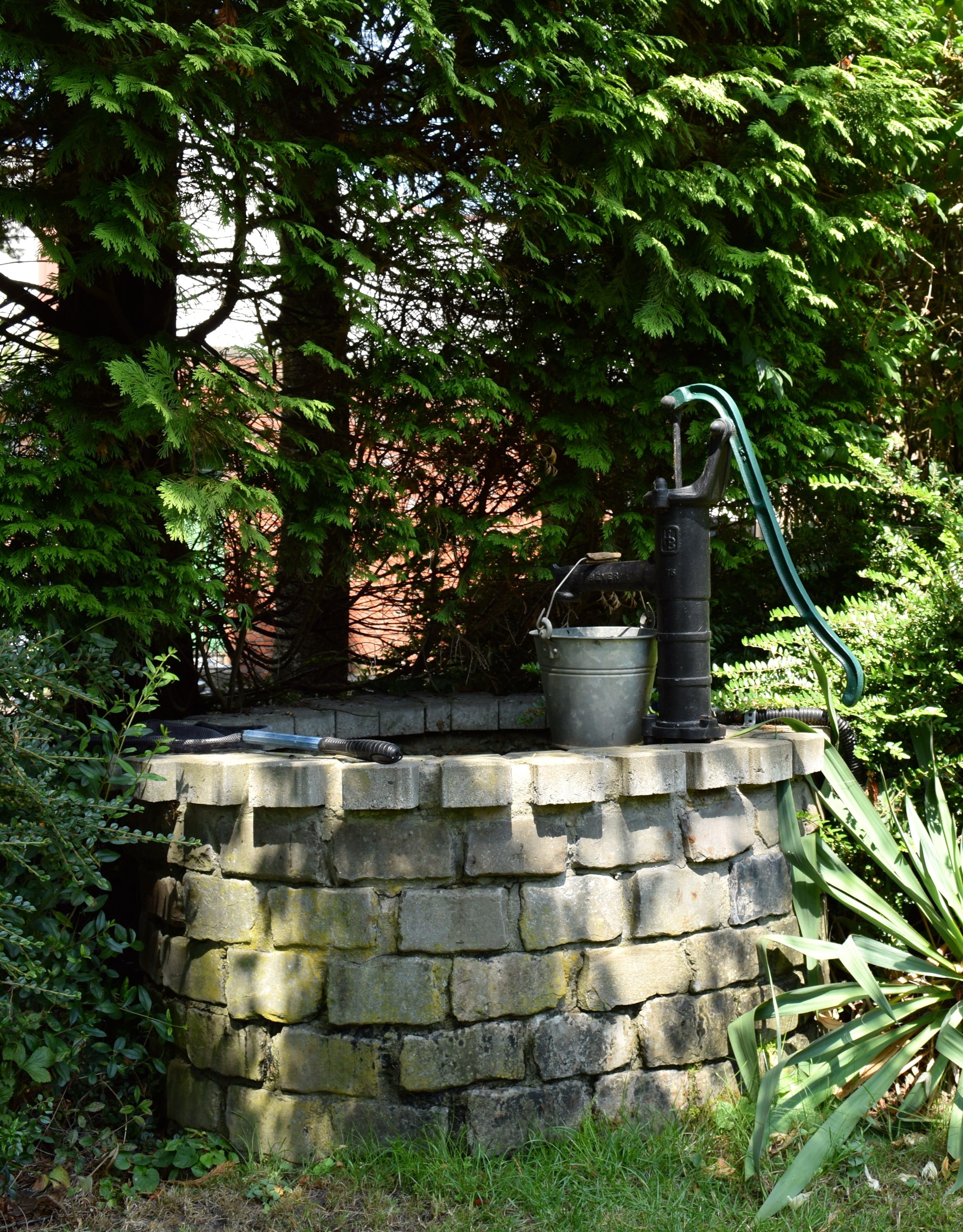 tree trunk, flow, outdoors, stone wall, nature, wall, tree, pump, hand pump, plant, forest, wall - building feature, metal, garden irrigation, 4K, front or back yard, Phone HD Wallpaper