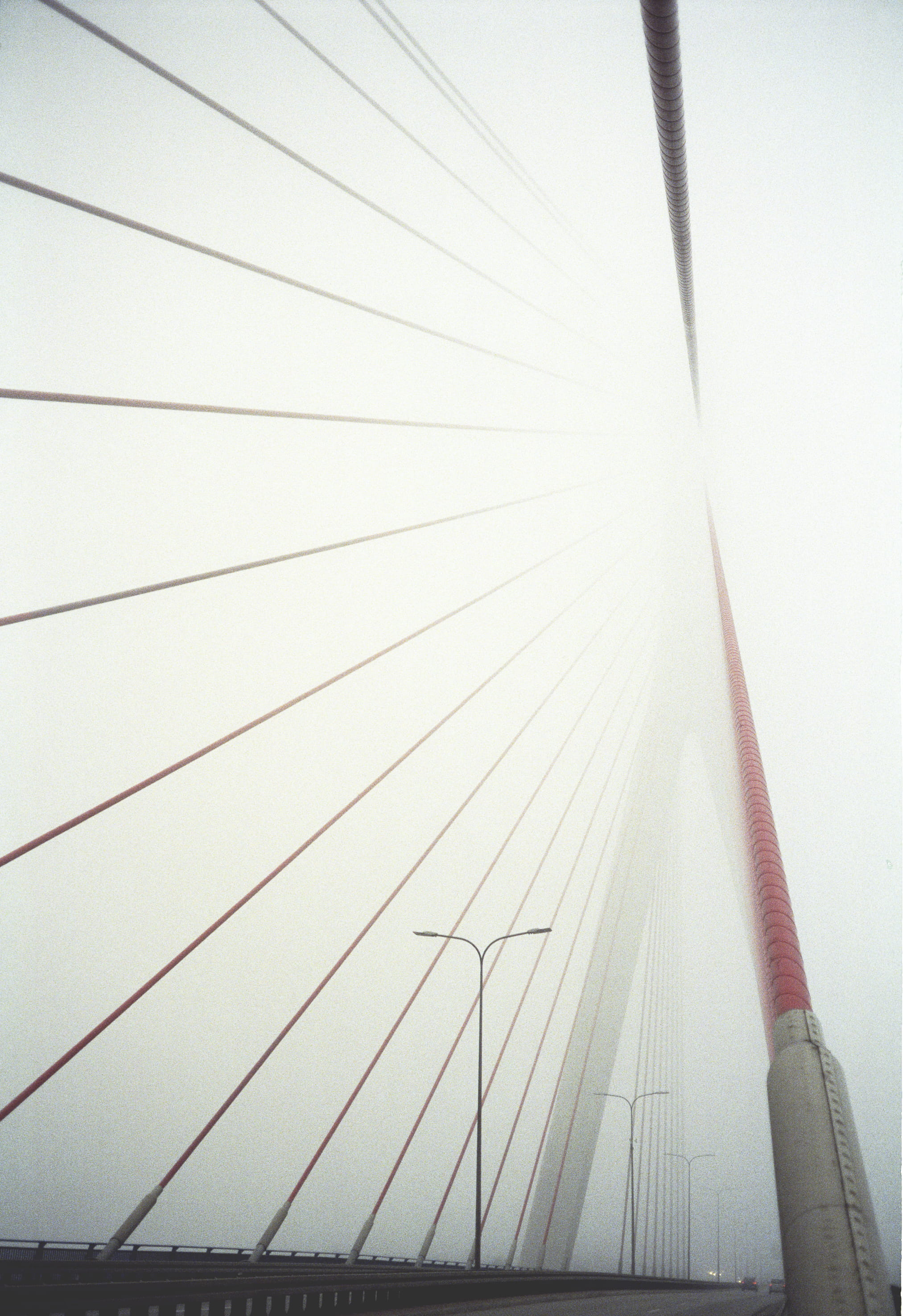day, architecture, steel cable, analog, europe, suspension bridge, 2K, low angle view, transportation, kodak, connection, poland, gdańsk, sky, fog, cable, Phone HD Wallpaper