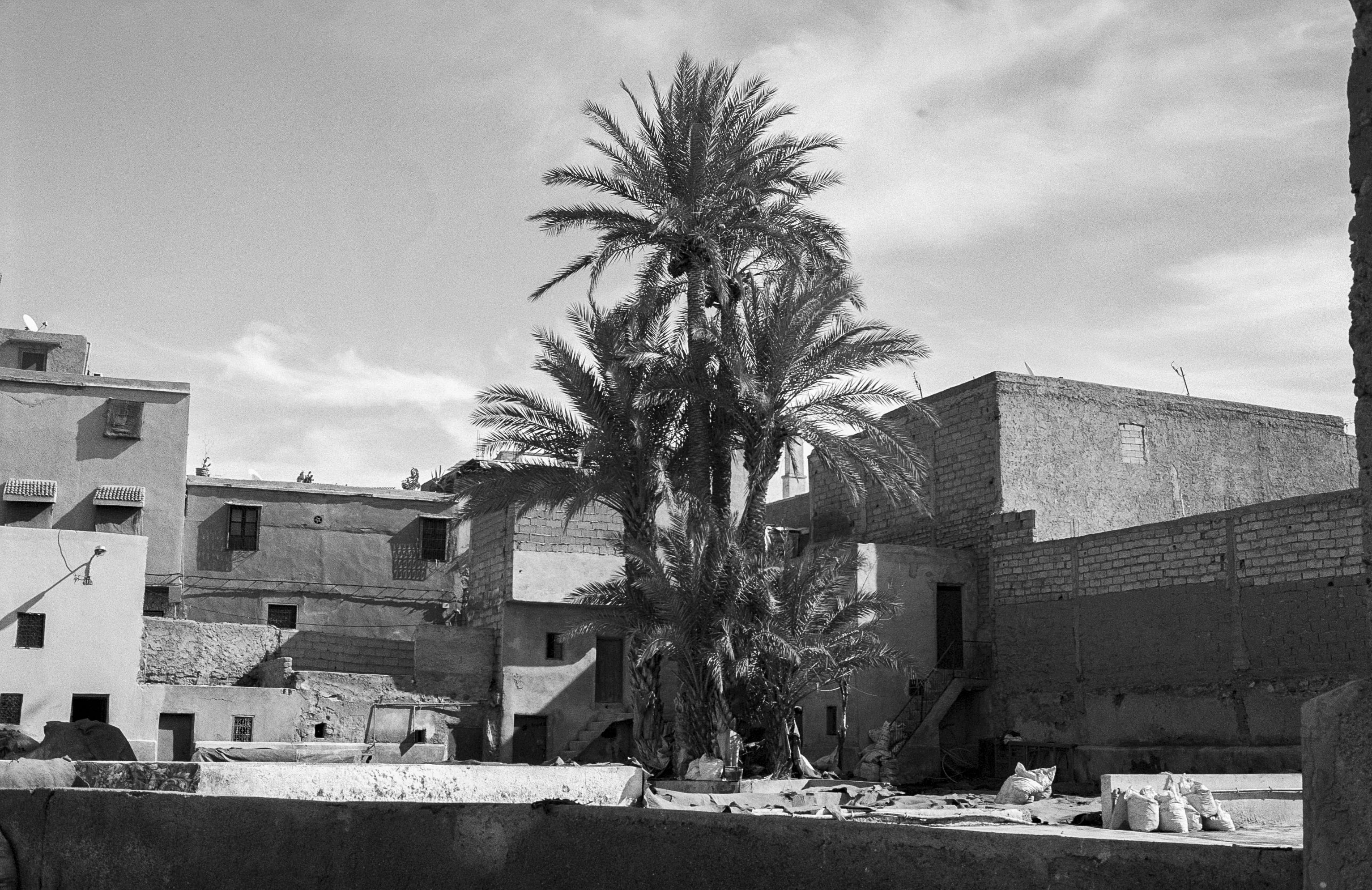 ilford, palm, day, electro 35, marrakesh, building exterior, cloud - sky, trees, incidental people, city, sky, xp2 super, real people, architecture, people, HD Wallpaper
