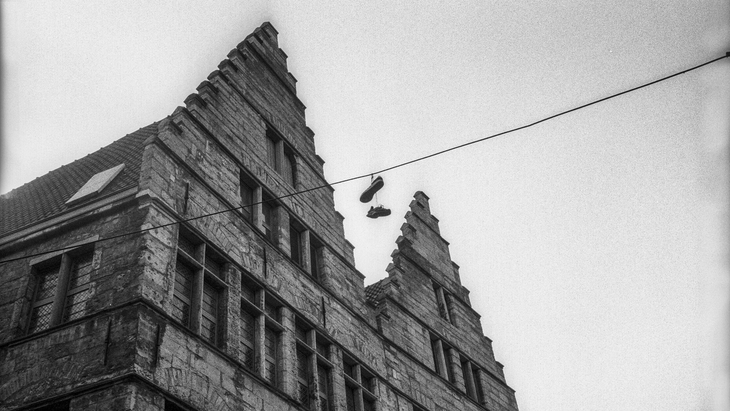 2K, window, electro, sky, animal, analog, vertebrate, cable, shoes, hanging, bird, low angle view, city, outdoors, built structure, clear sky, yashica, HD Wallpaper