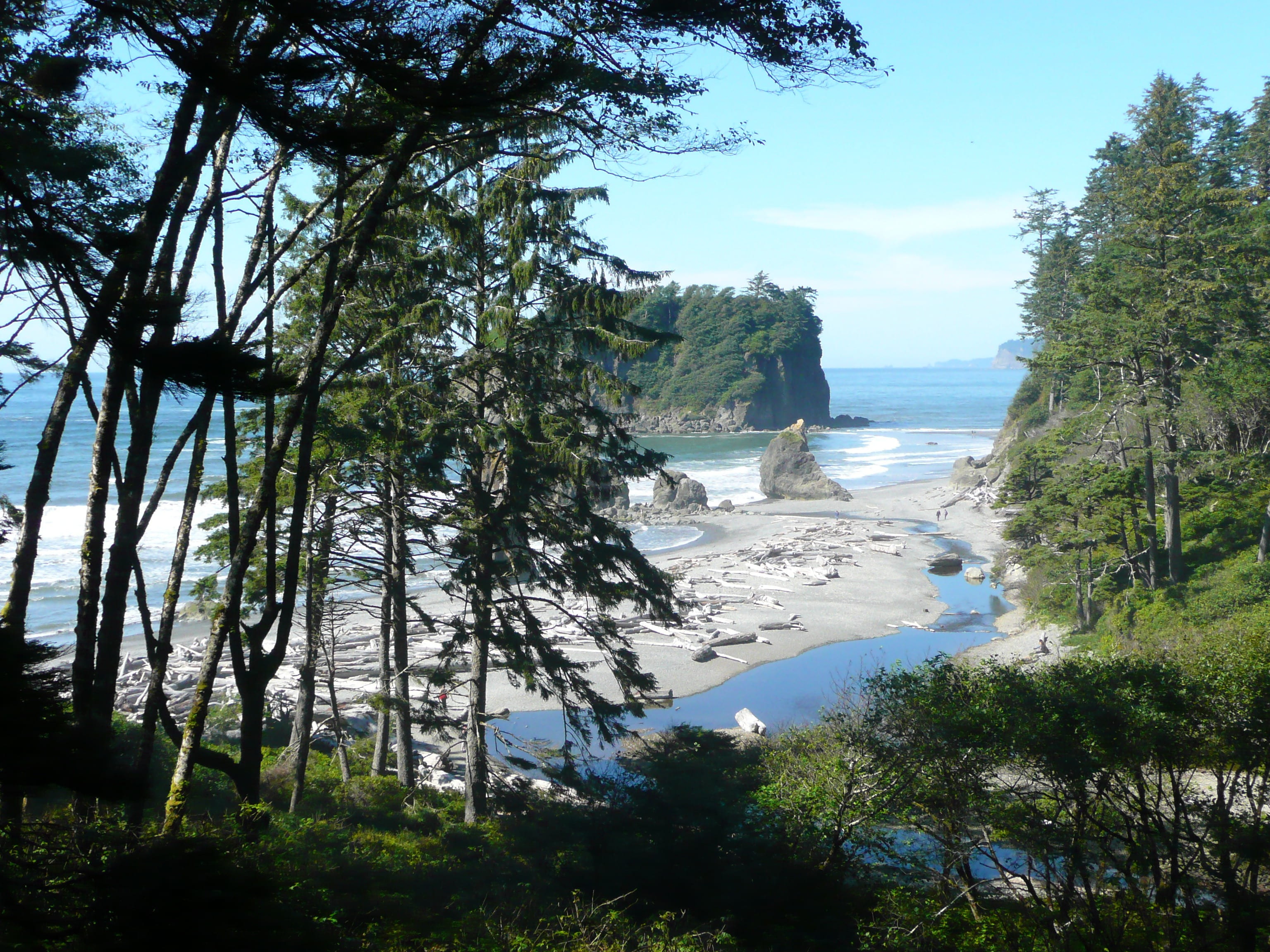 beach, non-urban scene, landscape, rock, no people, rock formation, outdoors, sea, pacific, plant, scenery, olympic national park, washington, shoreline, HD Wallpaper