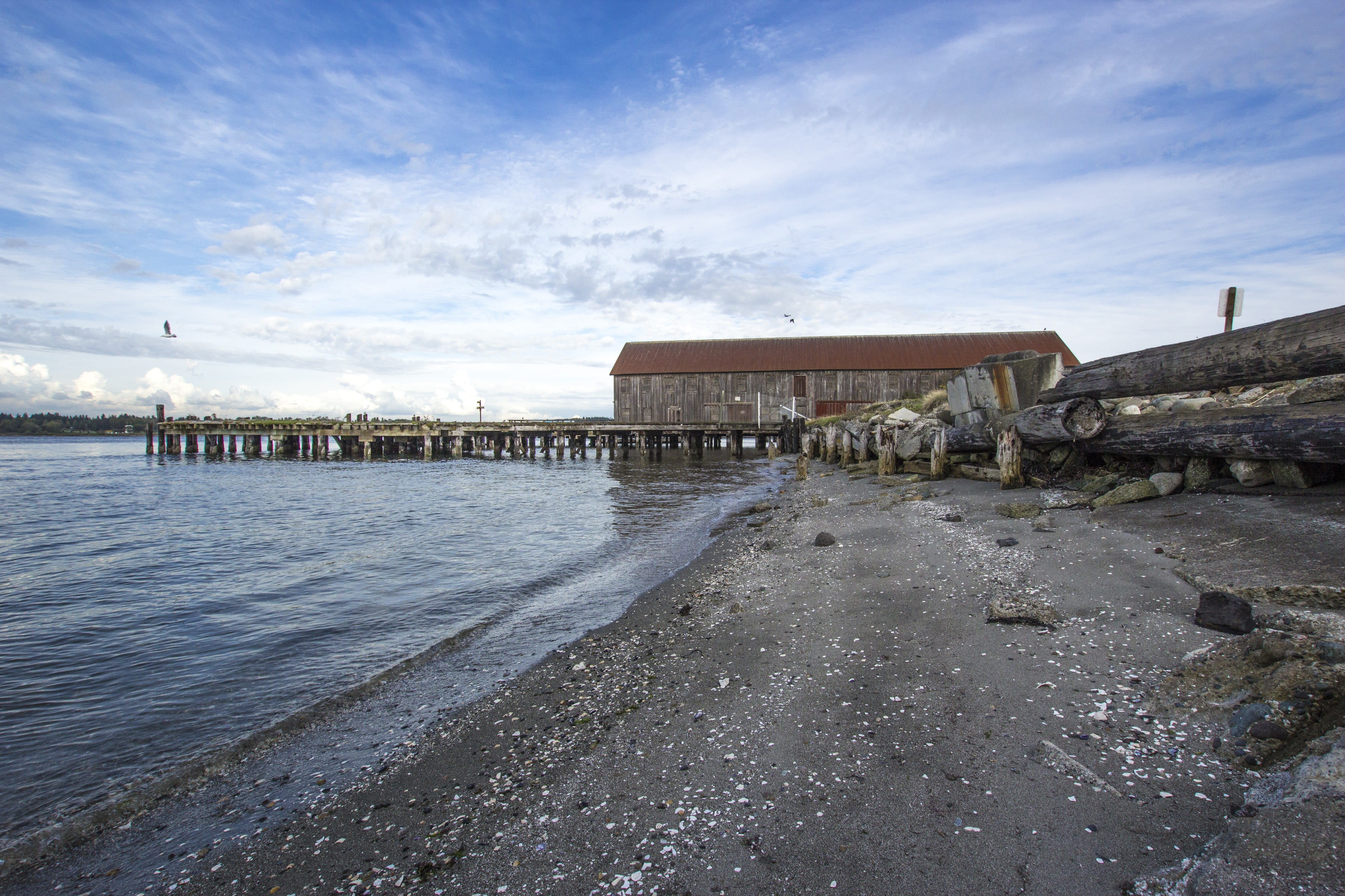 scenics - nature, architecture, washington, dirt road, building, road, built structure, beach, seashore, animal, blaine beach, pier, seagull, blue, rubble, HD Wallpaper