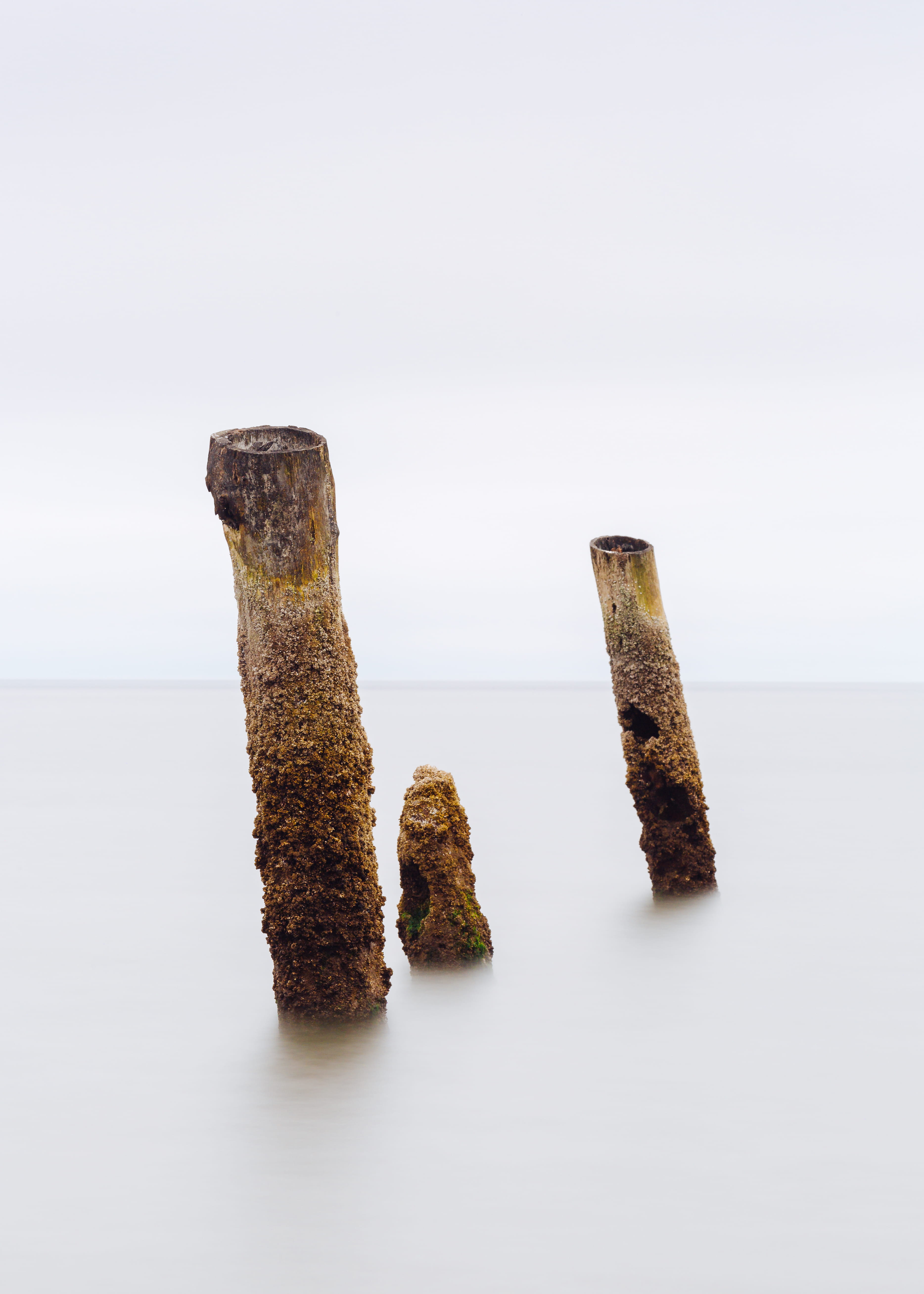 pnw, washington state, no People, wood - Material, water, white, 5K, post, beach, pier, poles, horizon, ocean shore, close-up, brown, vertical, backgrounds, Phone HD Wallpaper