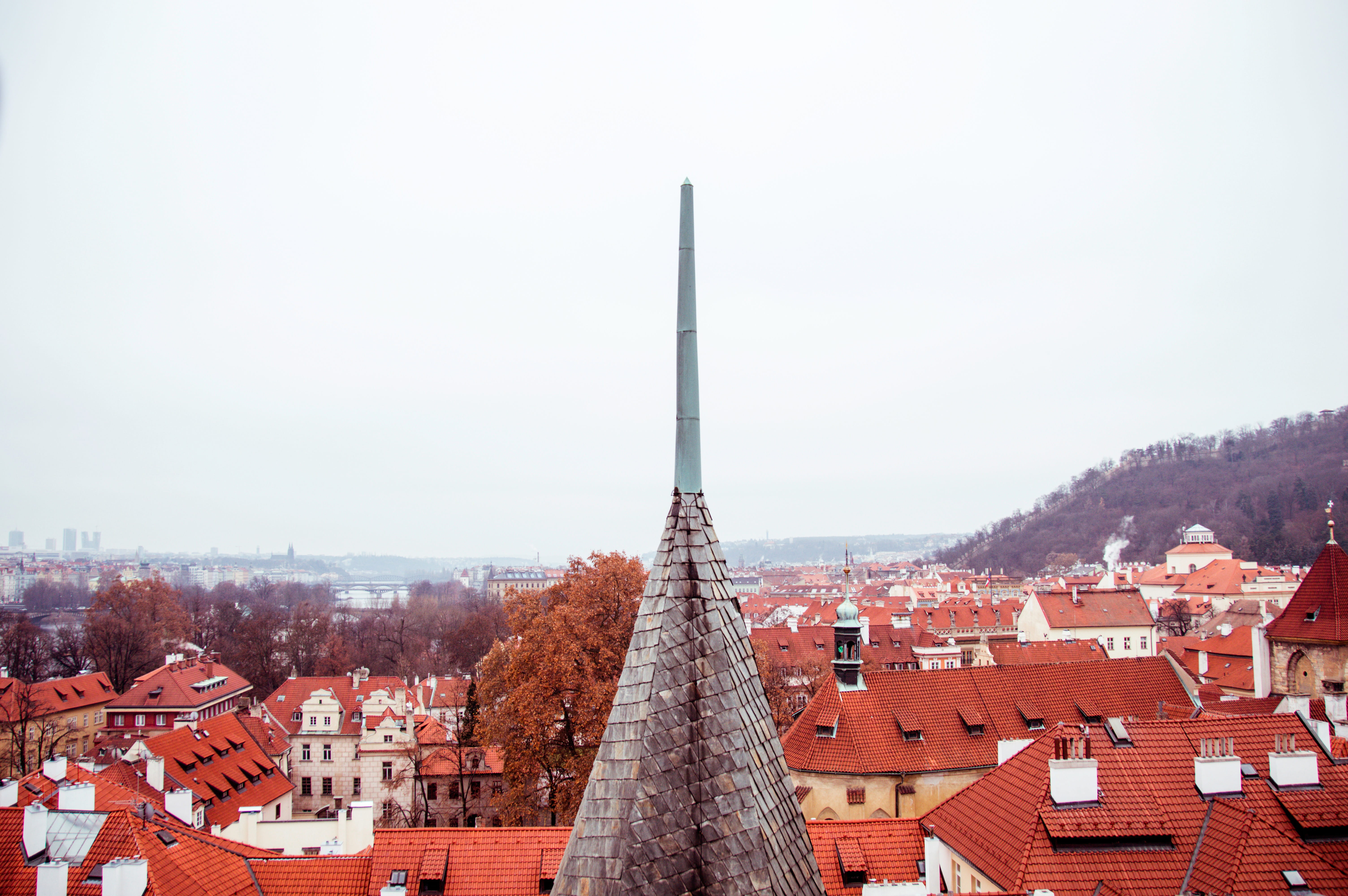 public domain, Rooftops, needle, city, plant, roof, roof Tile, architecture, aerial View, town, history, nature, red, day, residential district, famous Place, HD Wallpaper