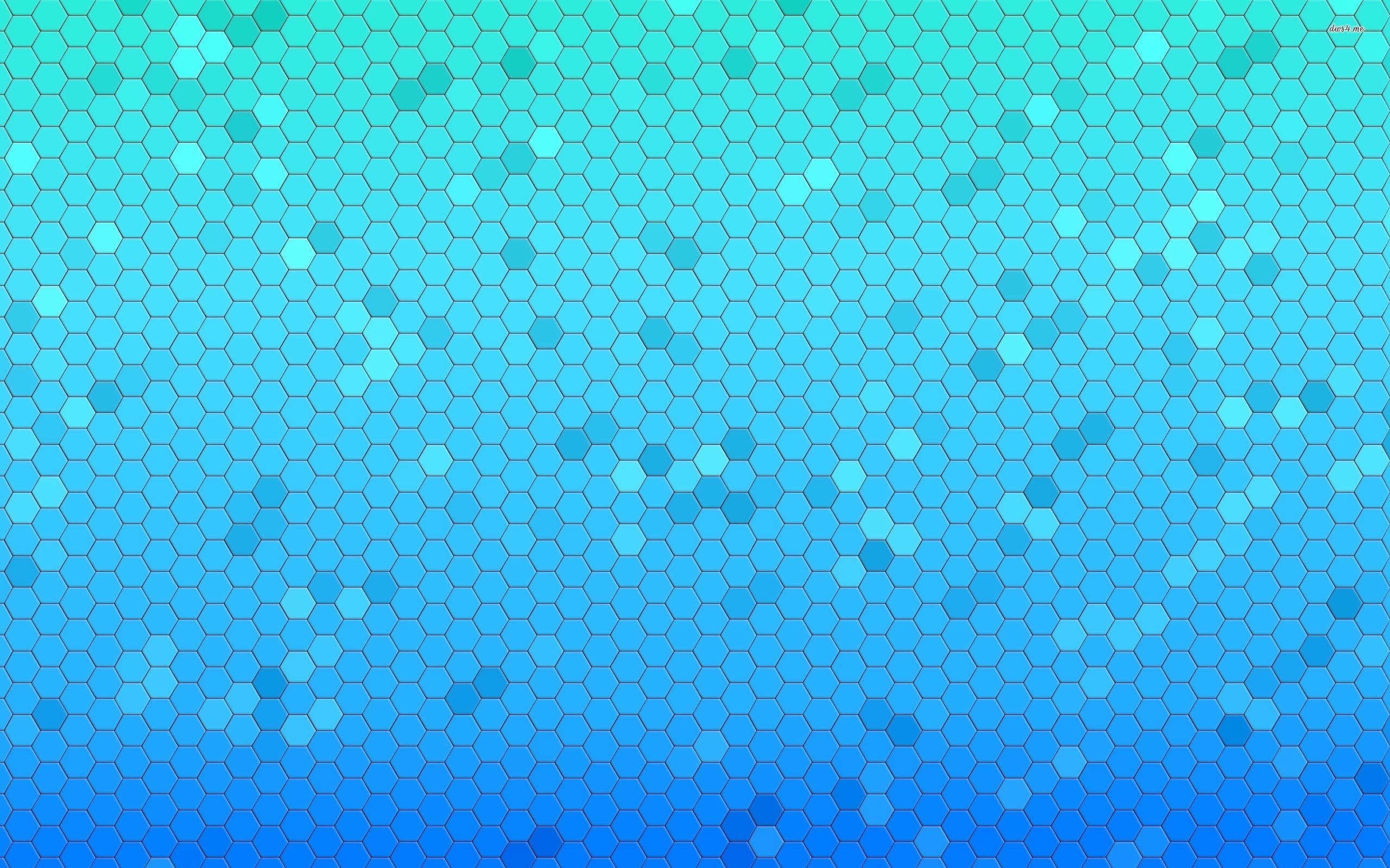 honeycomb, 2K, blue, textures, HD Wallpaper