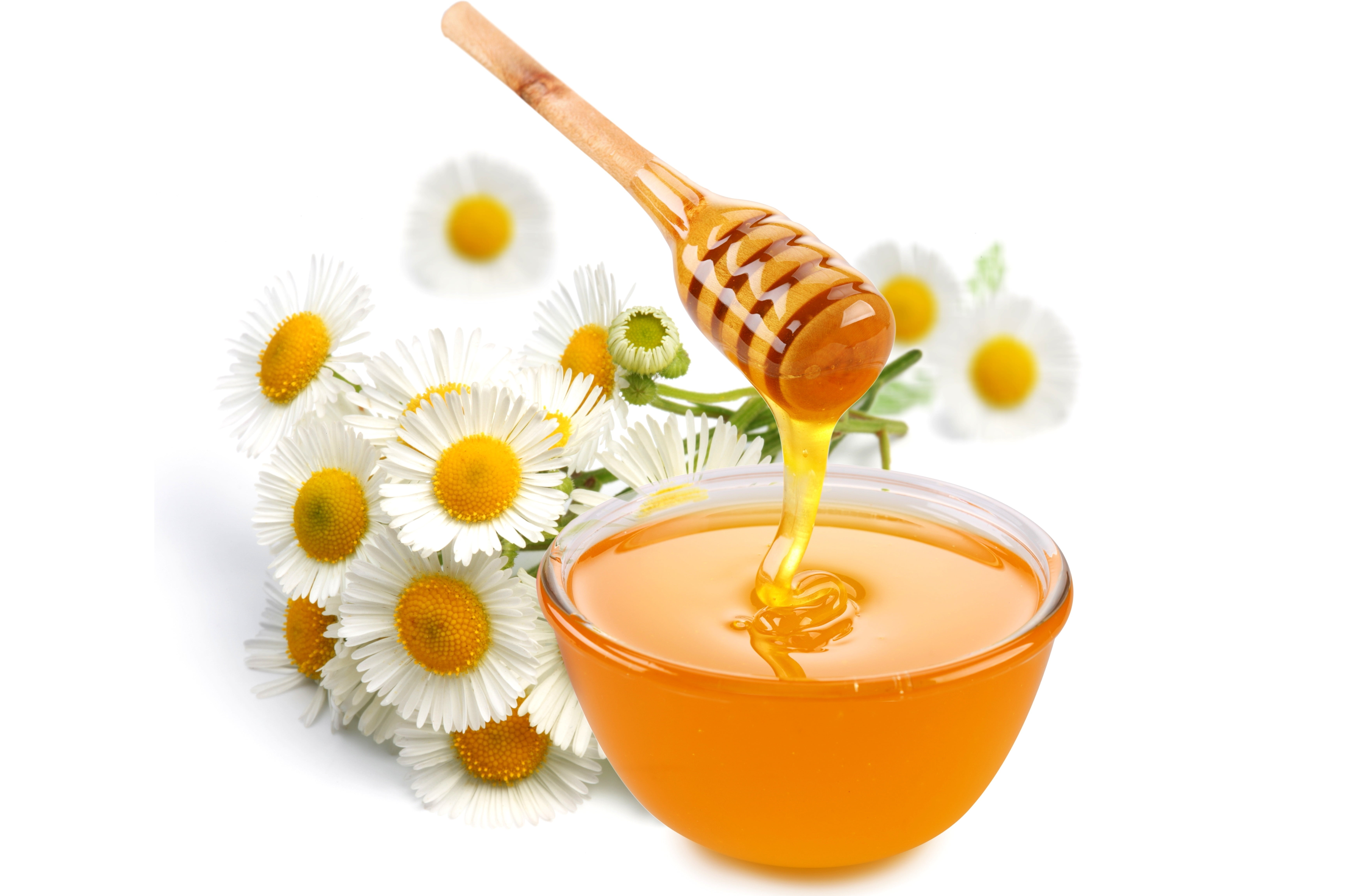 honey, orange color, bowl, food, cut out, bamboo Dipper, healthy Lifestyle, flower, chamomile Plant, isolated, yellow, close-up, liquid, daisy, 5K, chamomile, HD Wallpaper