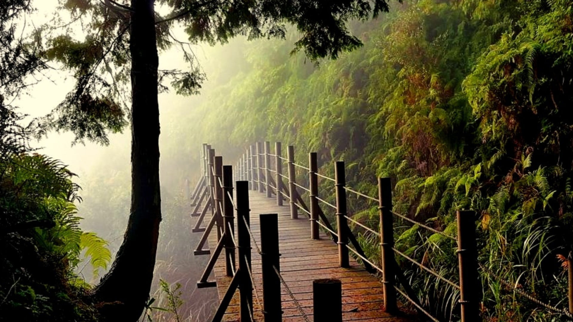 the way forward, park, footbridge, sky, landscape, support, tourism, direction, nature, outdoors, beauty in nature, fence, travel, device, plant, wood - material, HD Wallpaper