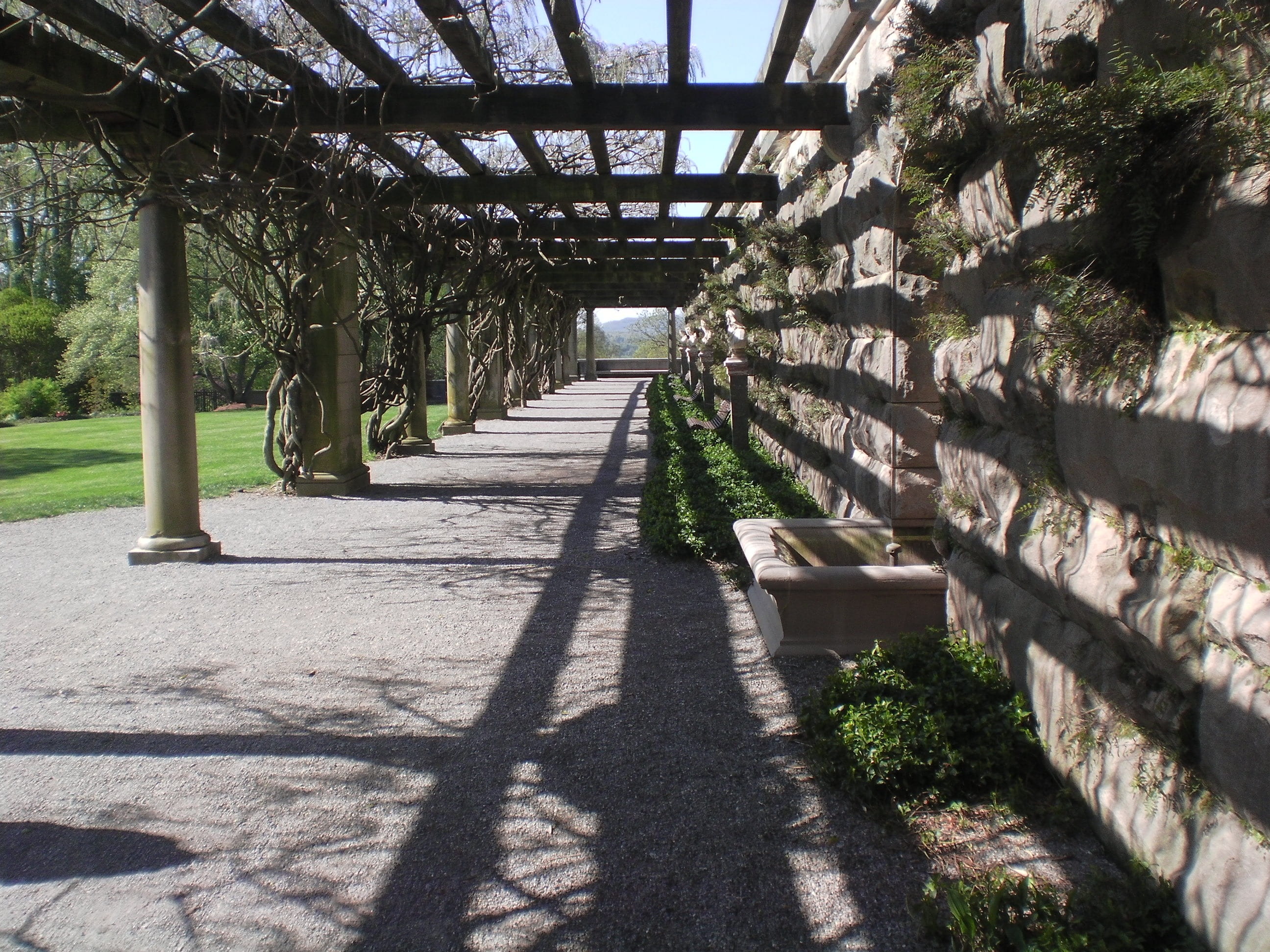 nature, open, growth, footpath, summer, plant, wall, path, long, bridge, empty, architecture, sunny, no people, vines, built structure, wide, the way forward, HD Wallpaper