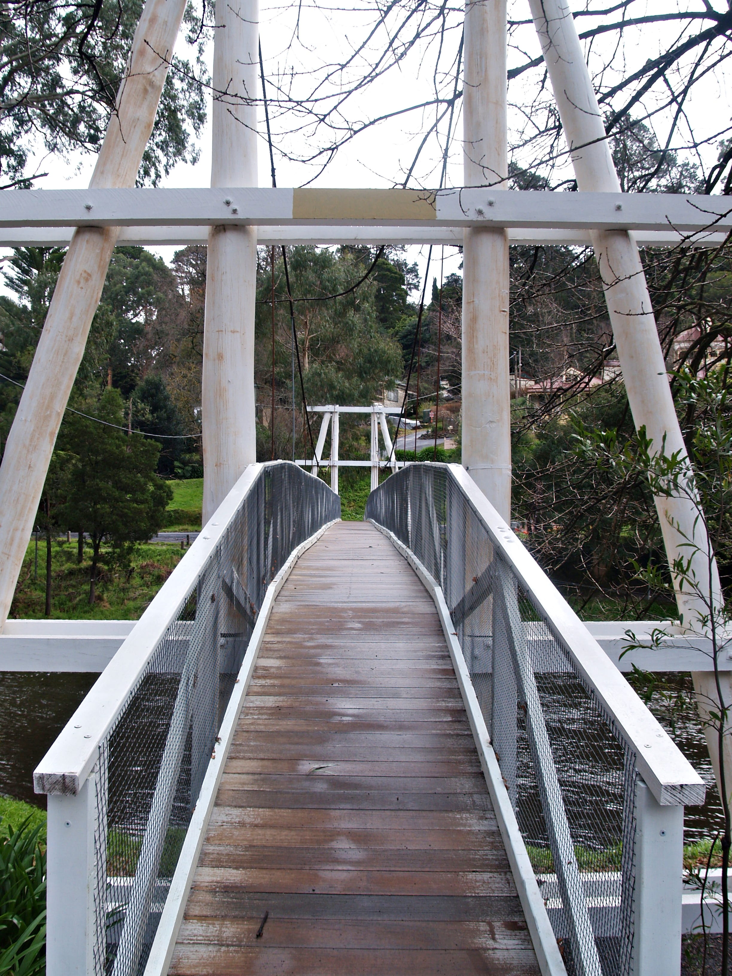 tree, footbridge, day, railings, railing, boardwalk, 2K, long, outdoors, white, bridge, built structure, the way forward, diminishing perspective, transportation, Phone HD Wallpaper