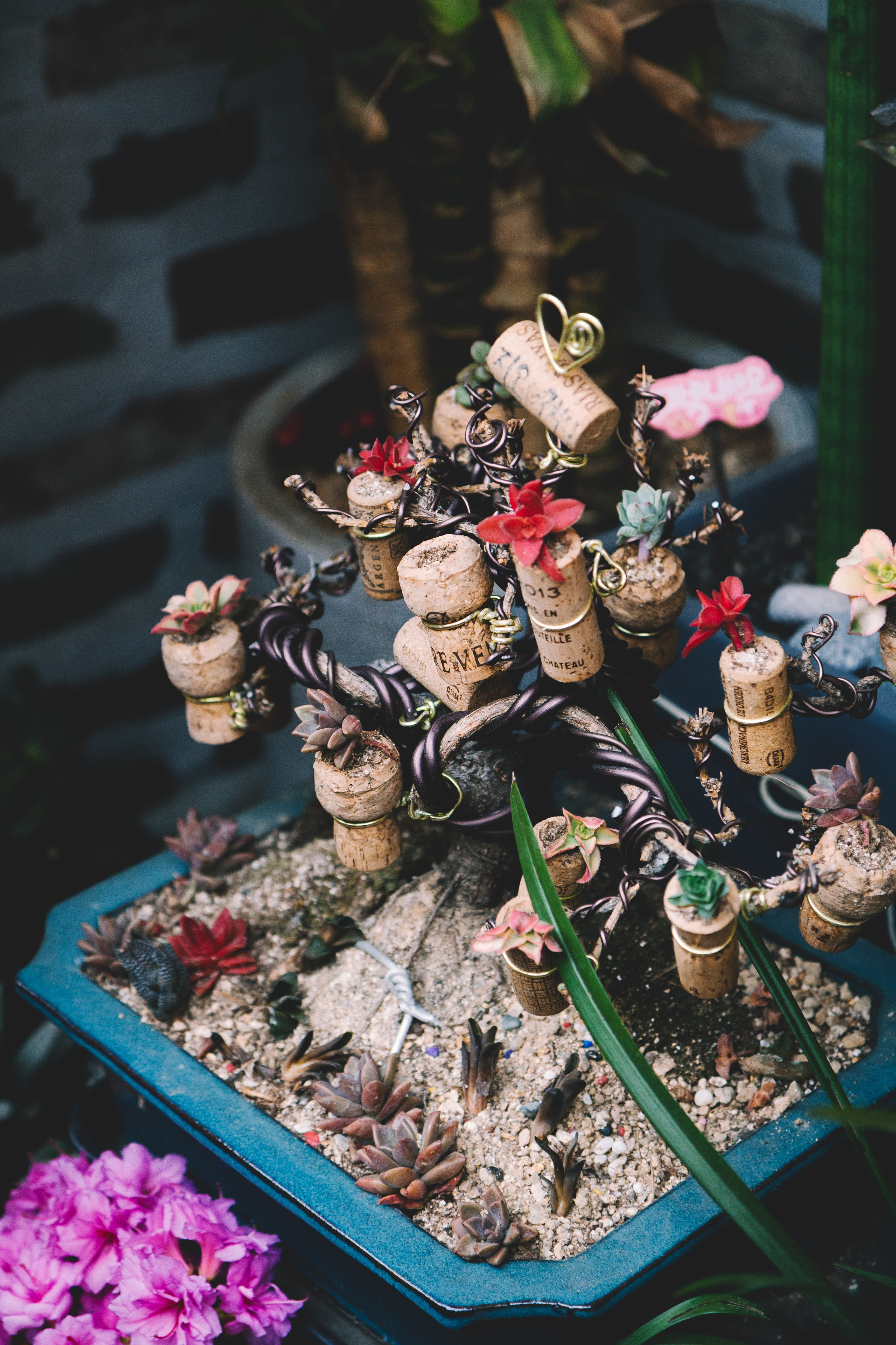 archaeology, plant, focus on foreground, treasure, tabletop, figurine, paper, arrangement, accessory, shop, representation, bottle, confetti, variation, Phone HD Wallpaper
