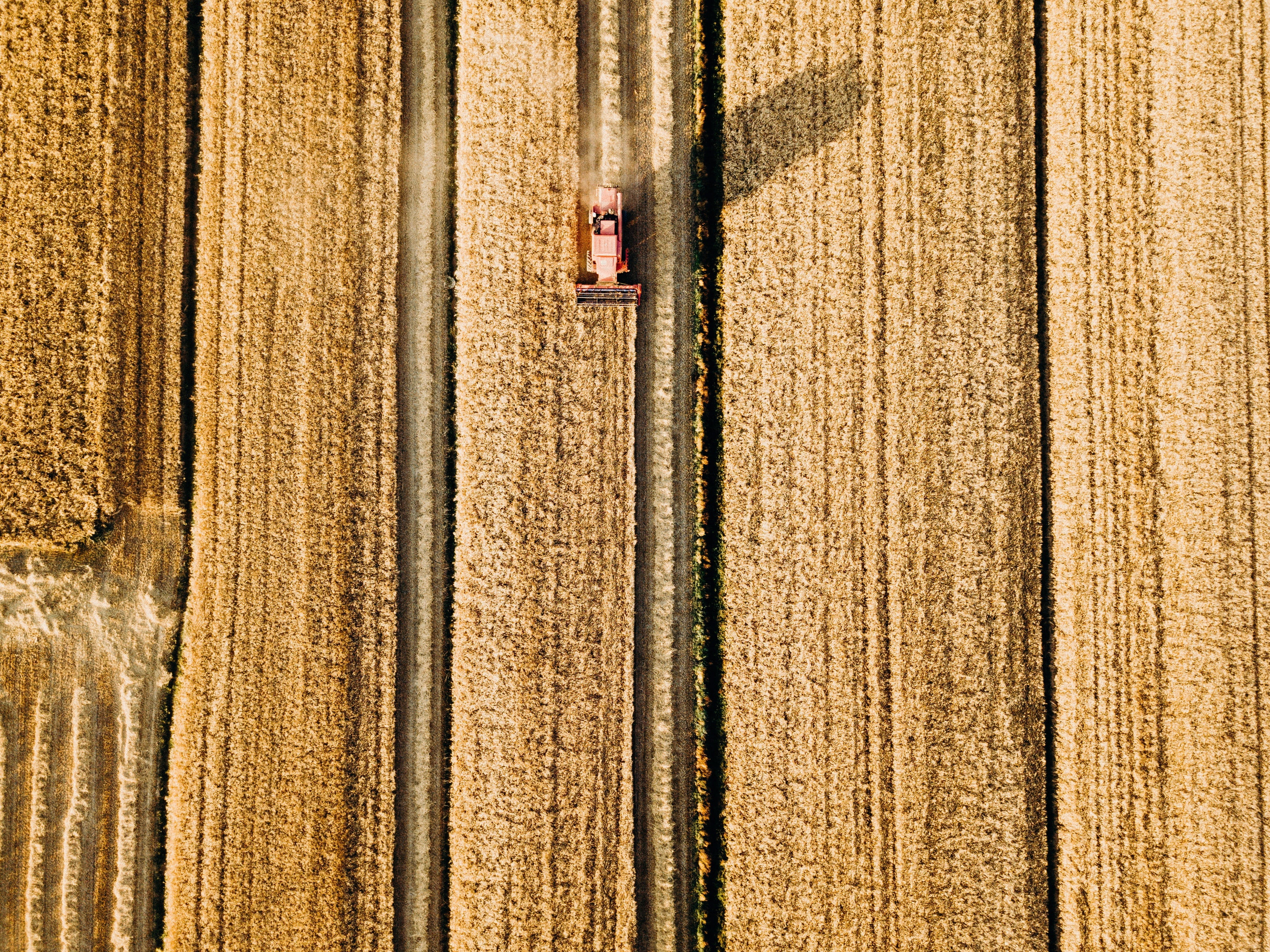 wall - building feature, furniture, road, tabletop, no people, lumber, automobile, field, rug, summer, tree, full frame, plant, vehicle, wood, nature, apiary, HD Wallpaper
