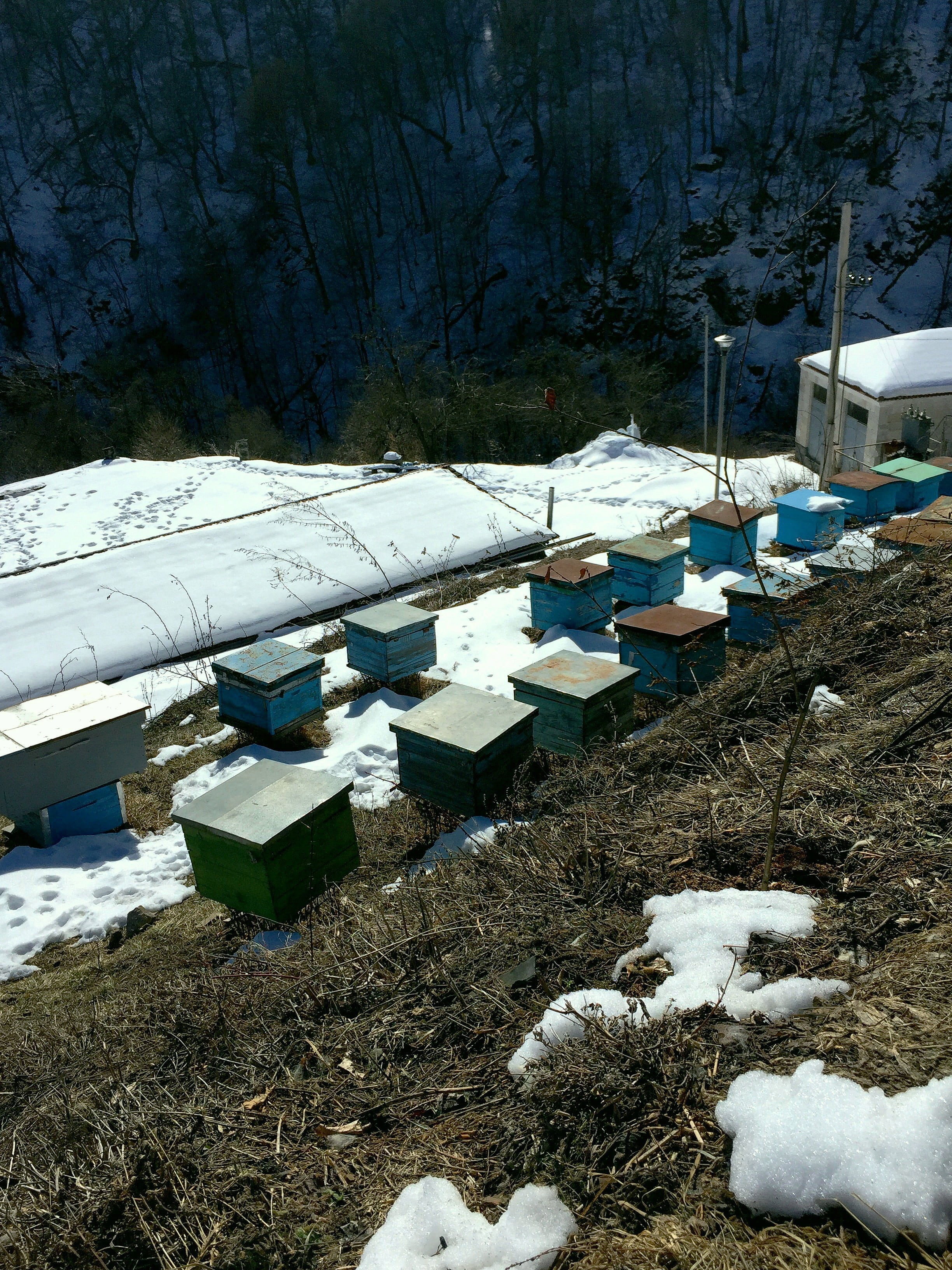 nature, day, apiary in surb haghartsin, transportation, winter, covering, apiary, frozen, land, thaw, no people, spring, water, built structure, snow, high angle view, Phone HD Wallpaper
