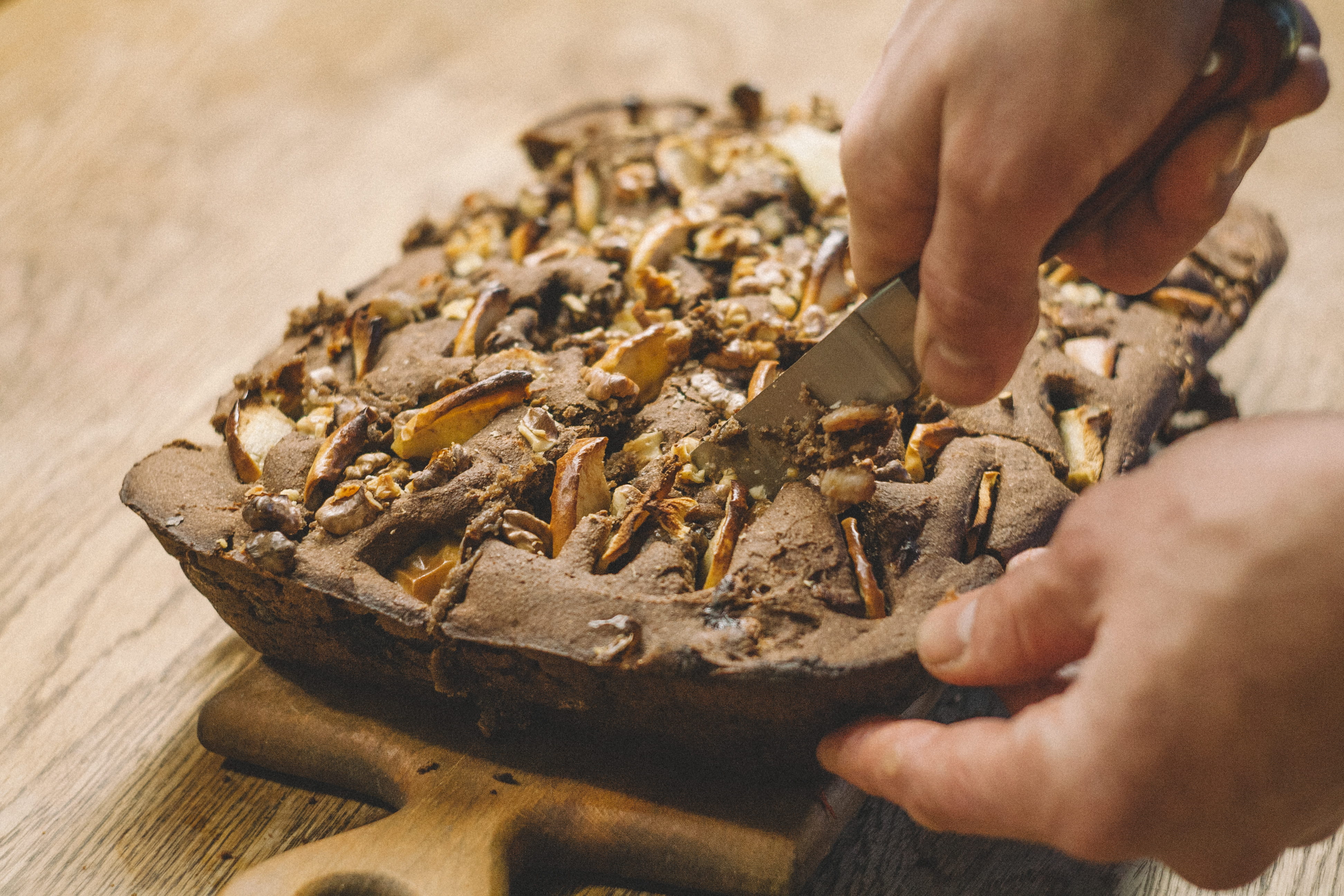 one person, lifestyles, leisure activity, person, preparing food, brown, slicing, nut, close-up, hand, finger, selective focus, tree, animal, icing, creme, HD Wallpaper