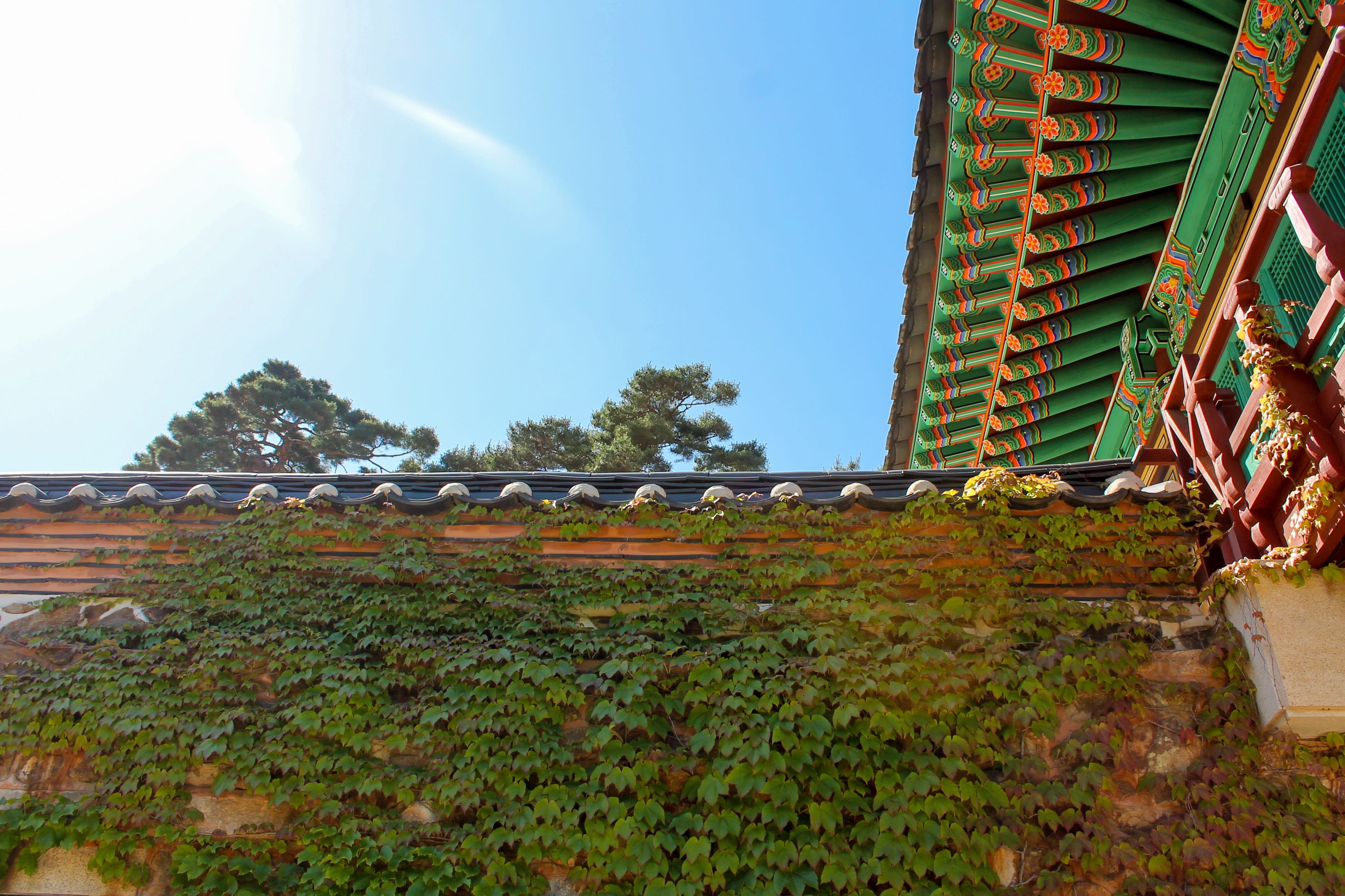 culture, style, leaf, historic, roof tile, tourism, roof, building, brick, background, decoration, seoul, low angle view, antique, outdoor, Castle, beautiful, HD Wallpaper