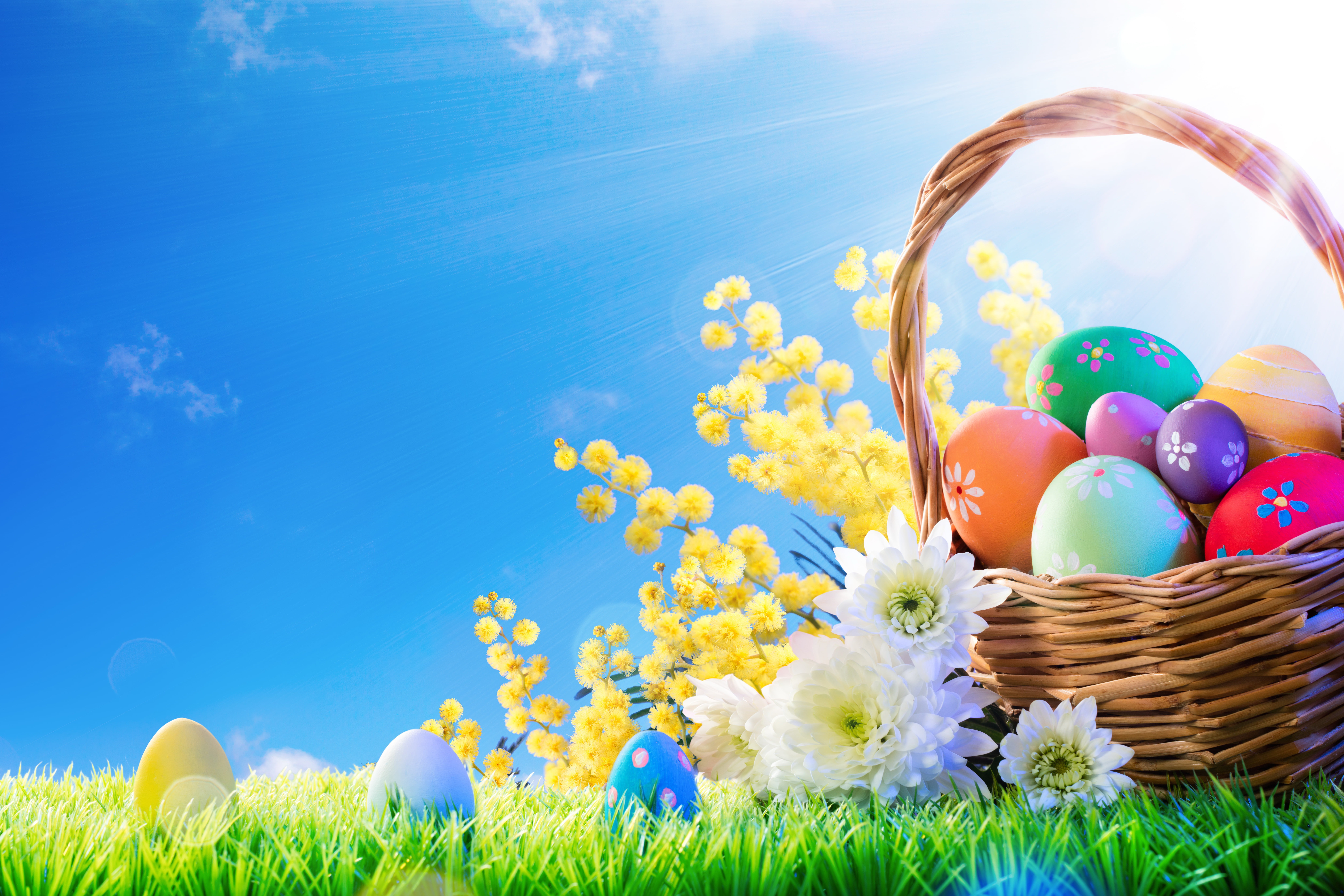 Basket, Easter, Easter Egg, 8K, Holiday, Flower, HD Wallpaper