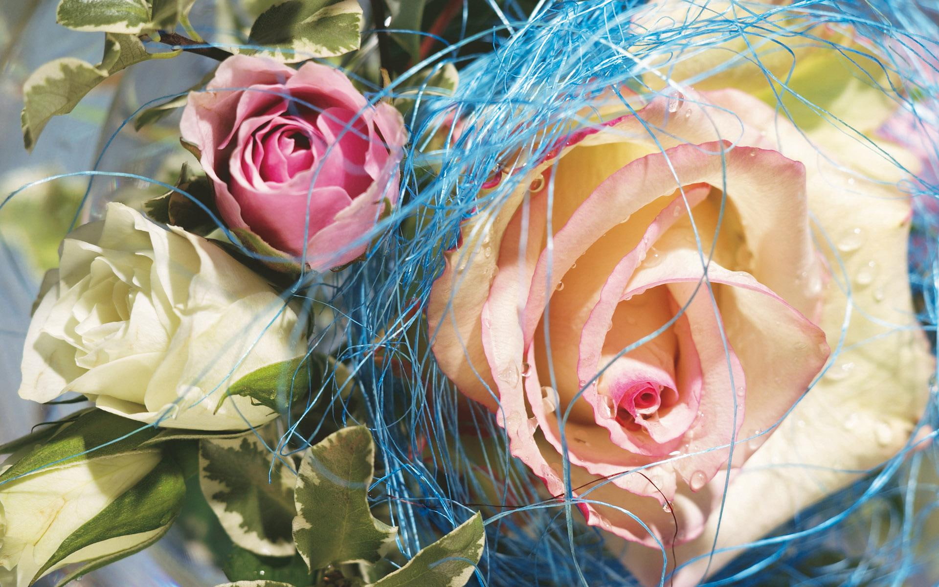 1080P, roses, nature, white, pink, 3d and abstract, HD Wallpaper