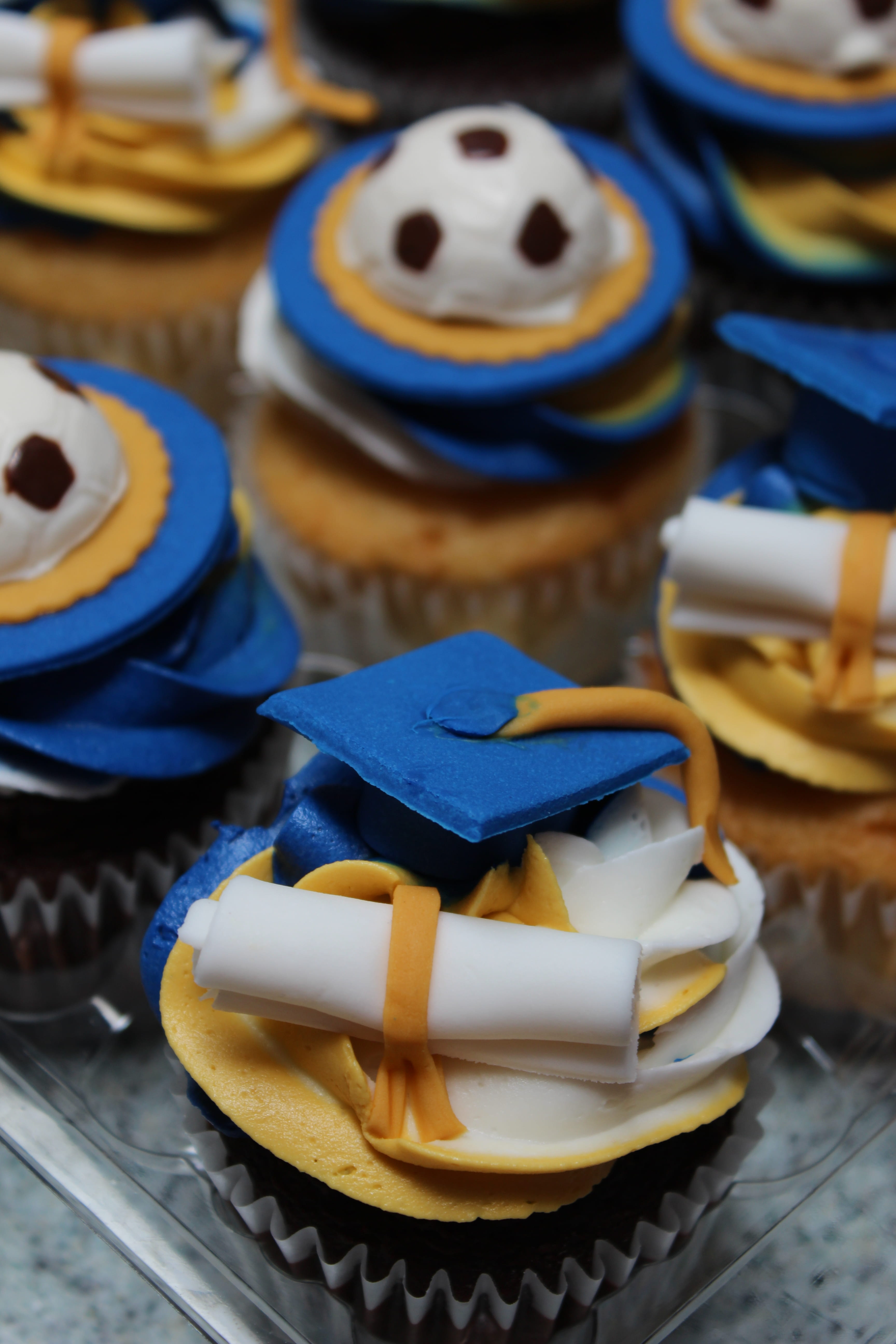 variation, tri-color frosting, food and drink, high angle view, cupcakes, food, graduation, indulgence, freshness, sweet, blue and gold, no people, dessert, Phone HD Wallpaper