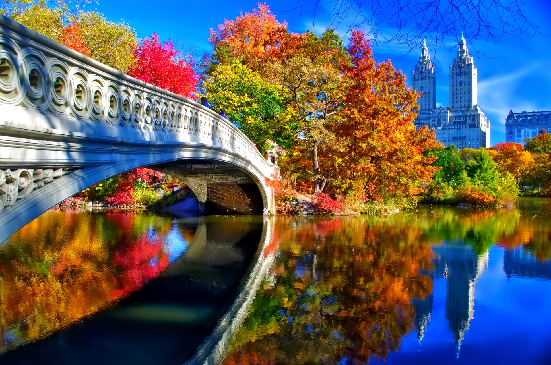season, plant, vibrant Color, park - Man Made Space, leaves, built Structure, change, building Exterior, trees, bas-relief Panels, landscape, manhattan - New York City, HD Wallpaper