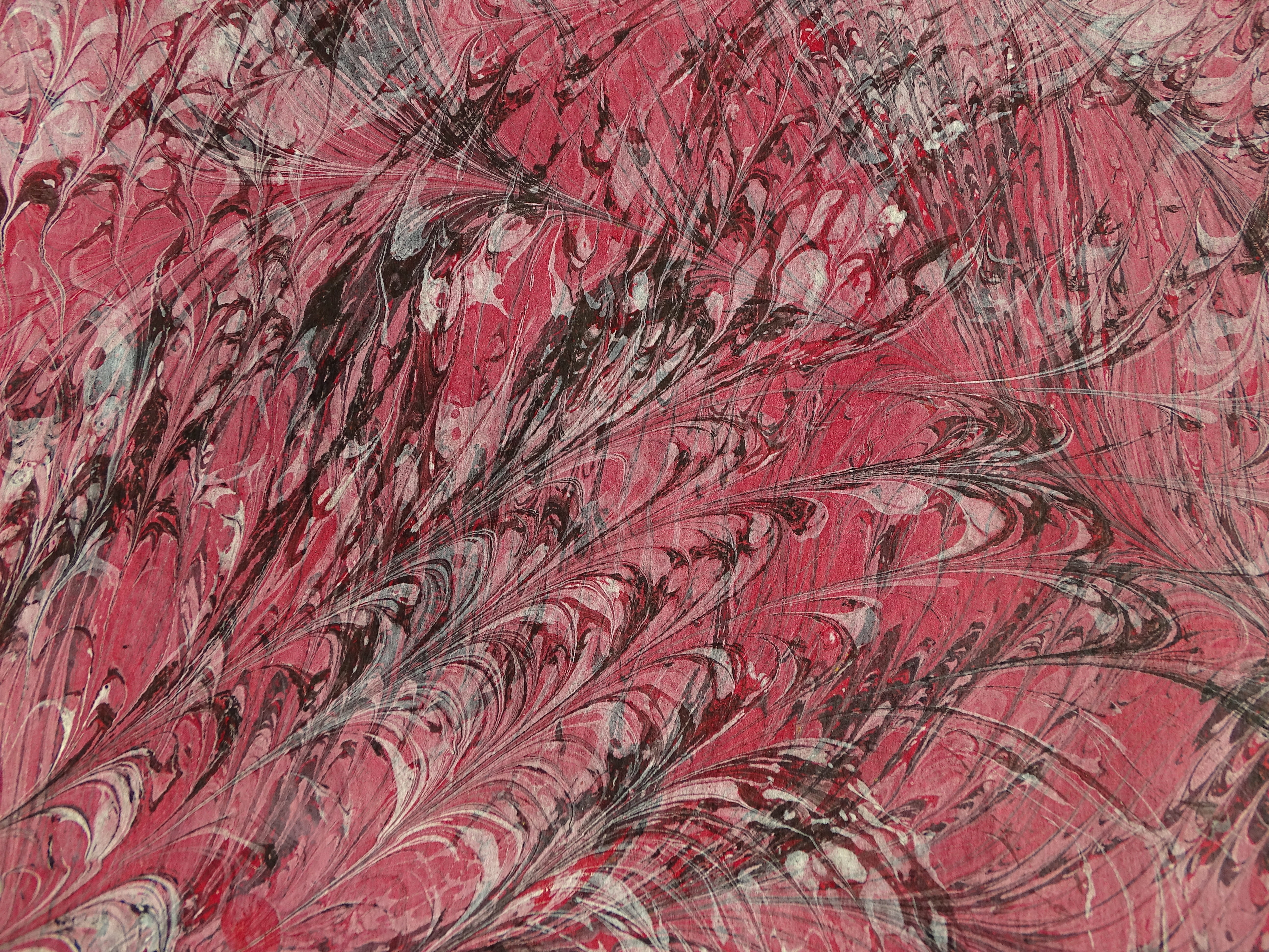 design, painting, backgrounds, no people, colorful, arabesques, pattern, movement, 5K, textured, crumpled, close-up, abundance, indoors, plant, full frame, HD Wallpaper
