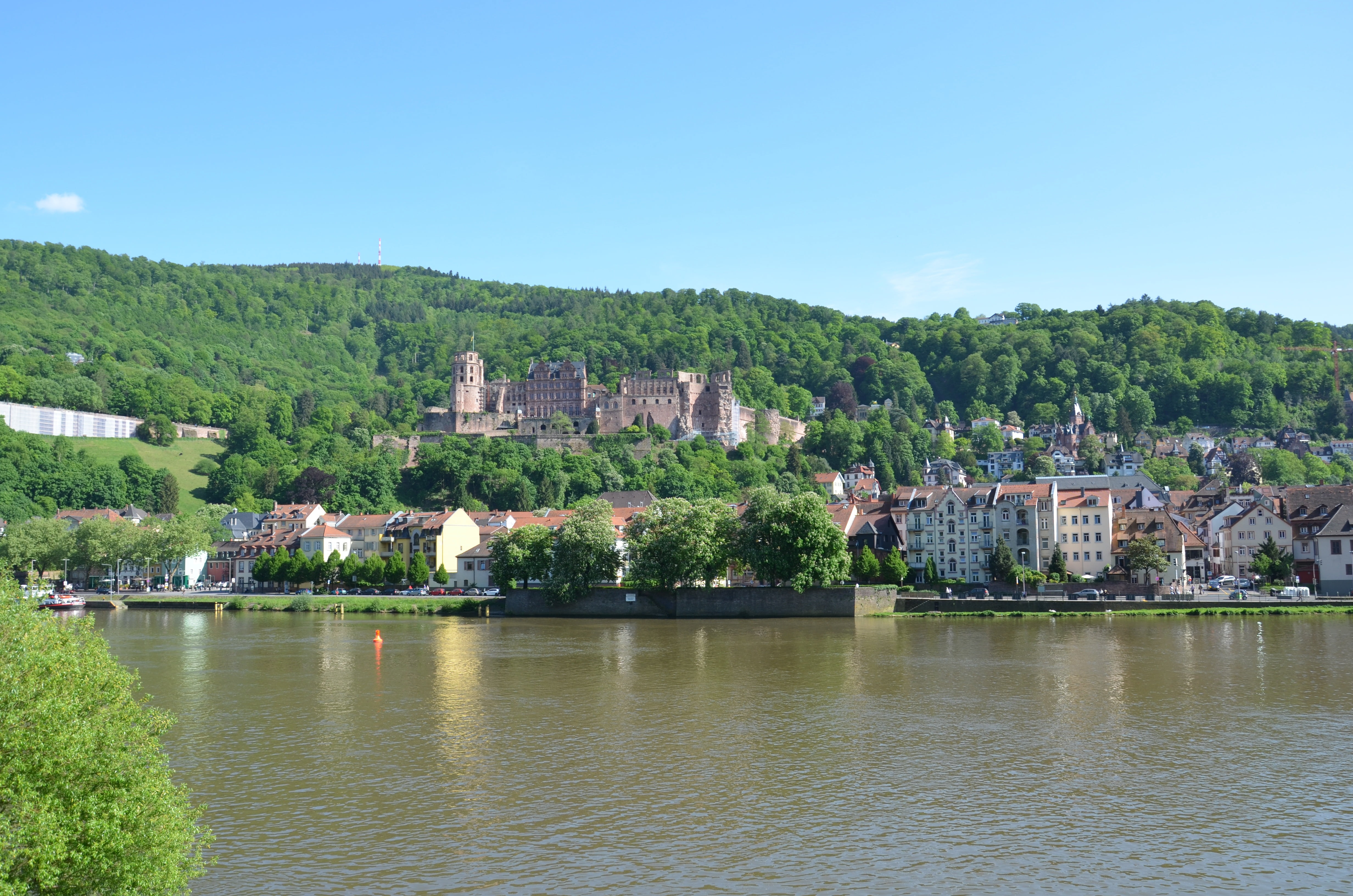 history, town, europe, city, mountains, day, germany, travel destinations, building exterior, heidelberg, holiday, sky, summer, architecture, tree, no people, HD Wallpaper