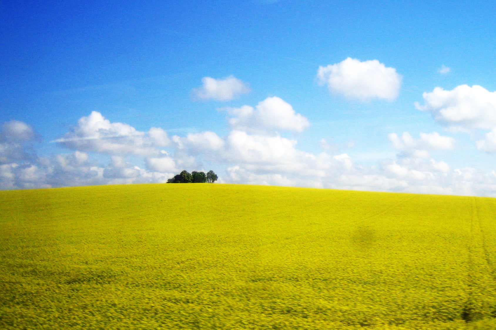 middle, scenics, nature, anno, blue, con, un, foto, yellow, nun, ho, middle  England, conto, train, fa, Meadow, outdoors, landscape, summer, farm, colors, HD Wallpaper