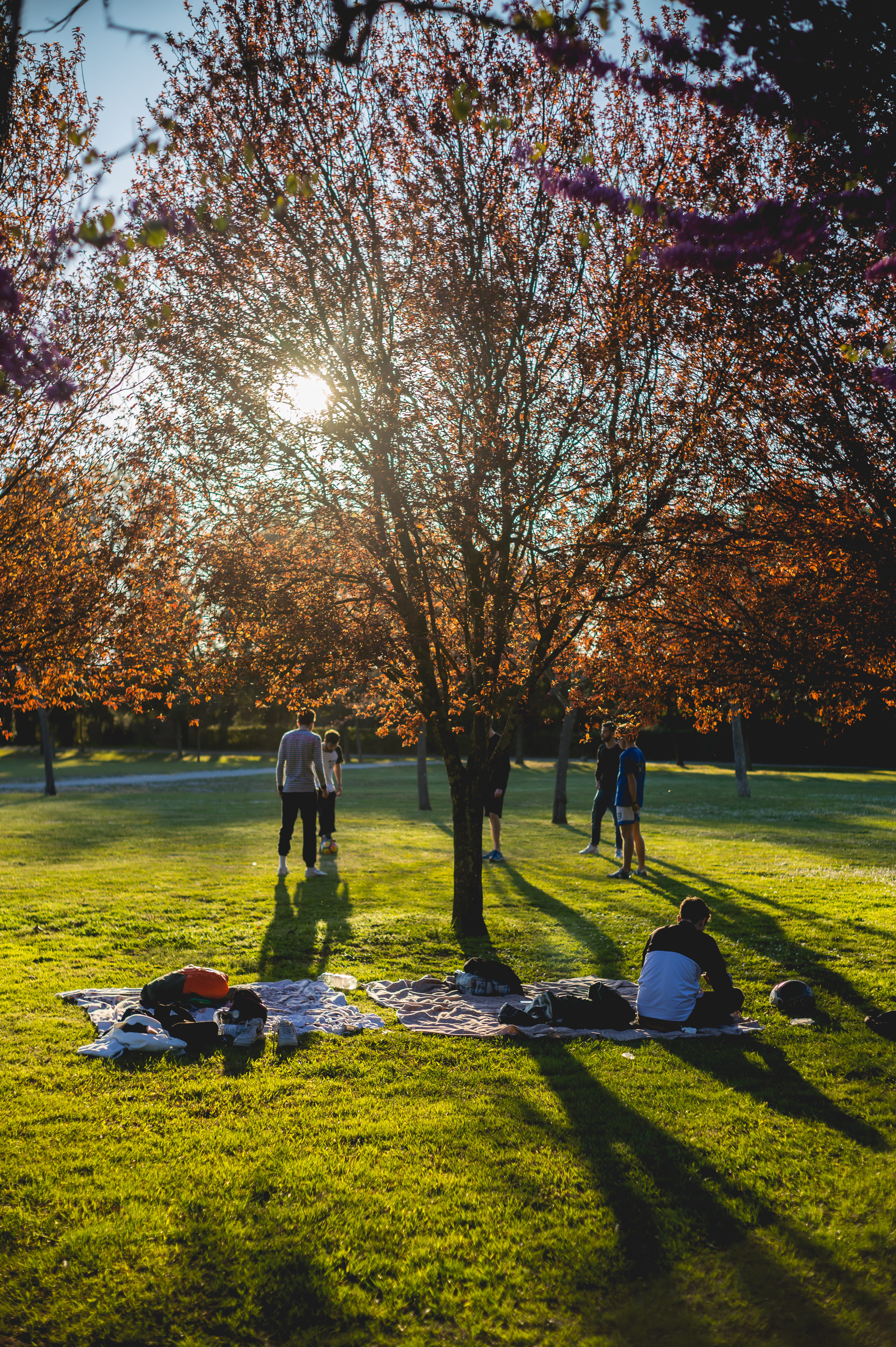 leisure activity, plant, tree, nature, lens flare, men, shadow, lawn, day, campus, 5K, person, sky, change, sunlight, sport, grass, #nature #photography #travel #love #naturephotography #photooftheday #beautiful #naturelovers #instagood #outdoors #ocean #mountains #hiking #wildlife #art #naturelover #landscape #picoftheday #earth #hike #natgeo #colorado #forest #sky #camping #outdoor #thegreatoutdoors #travelphotography #animals #landscape_captures, Phone HD Wallpaper