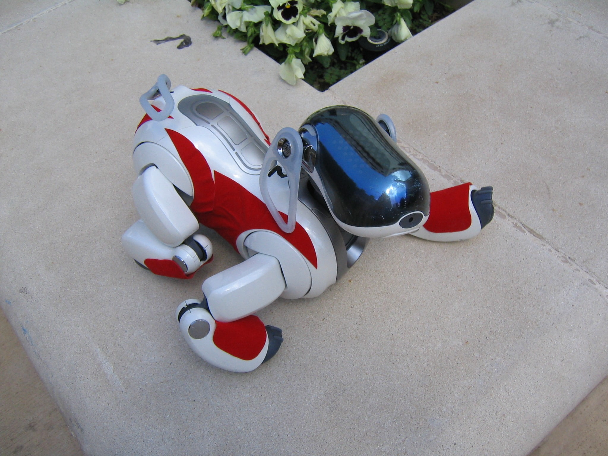 robot, flooring, high angle view, animal representation, compatibility, absence, no people, plastic, car, toy, close-up, sport, day, personal accessory, HD Wallpaper