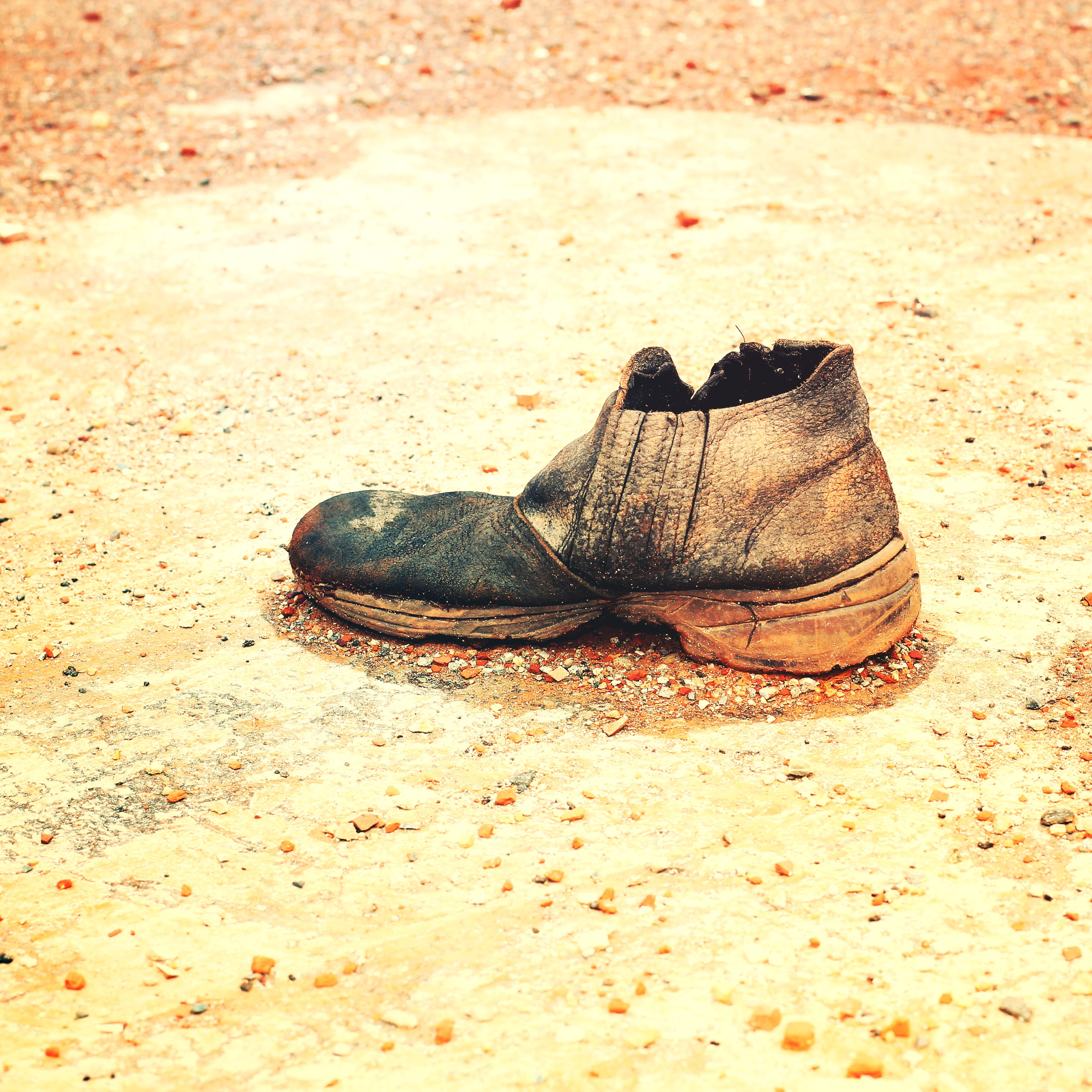 old, animal, single, no people, construction, animals in the wild, focus on foreground, beach, personal accessory, urban, two objects, shoe, land, sand, Phone HD Wallpaper