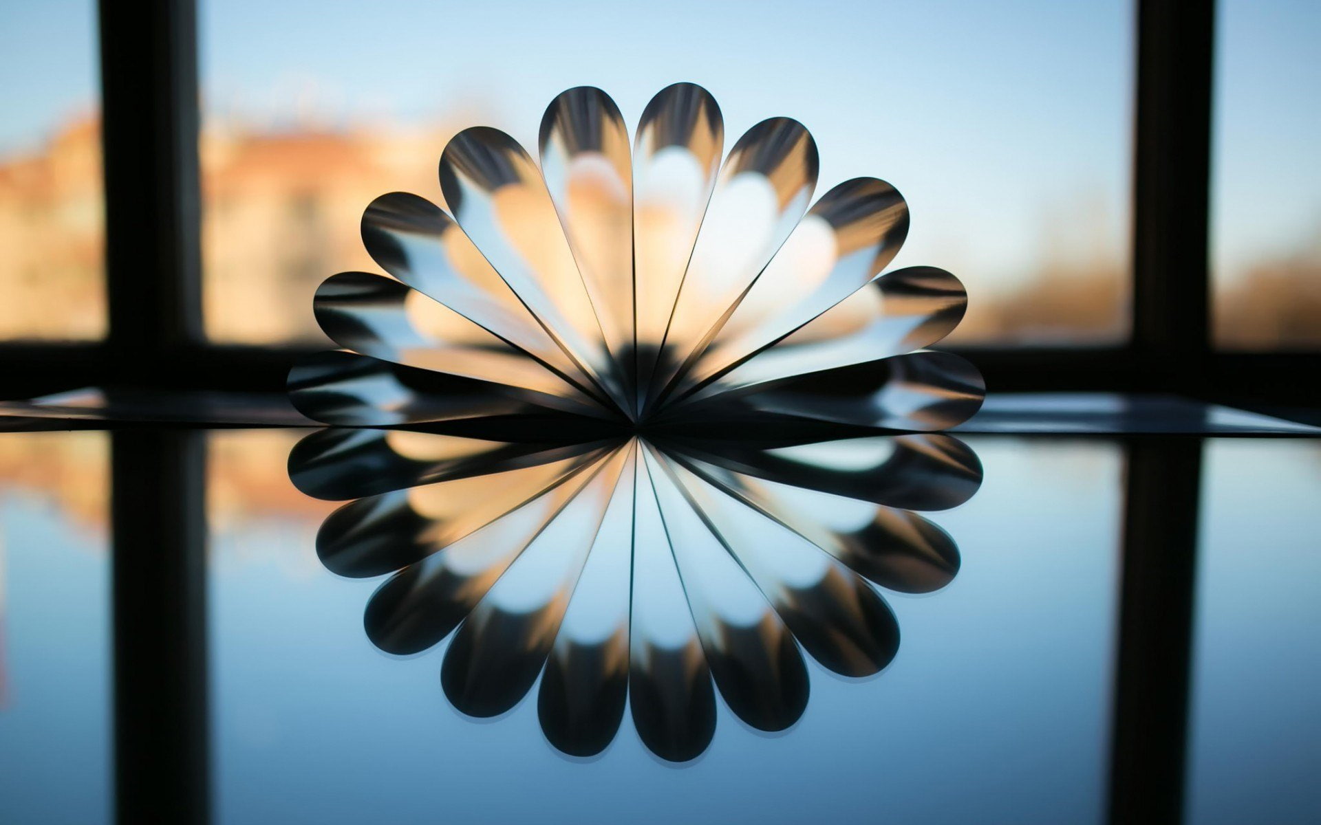 sunlight, Effect, Pages, glass, window, petals, Photos, shadow, Page, Reslection, Folded, 1080P, windows, Book, Mirror, HD Wallpaper