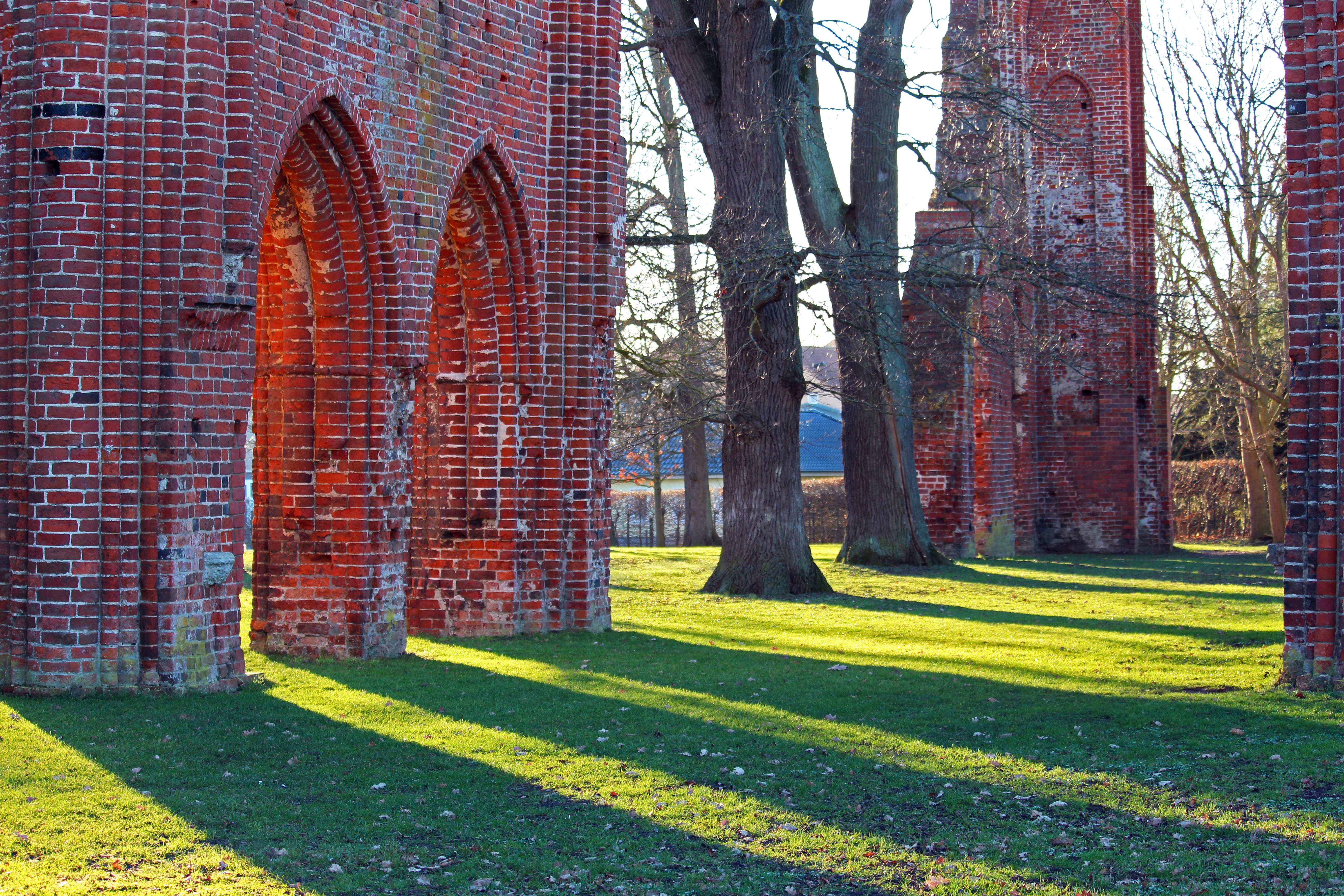 eldena, building, facade, sunlight, ruins of eldena abbey, outdoors, stone, ruin, bricks, masonry, monastery, nature, brick, wall, evening sun, romantic, HD Wallpaper