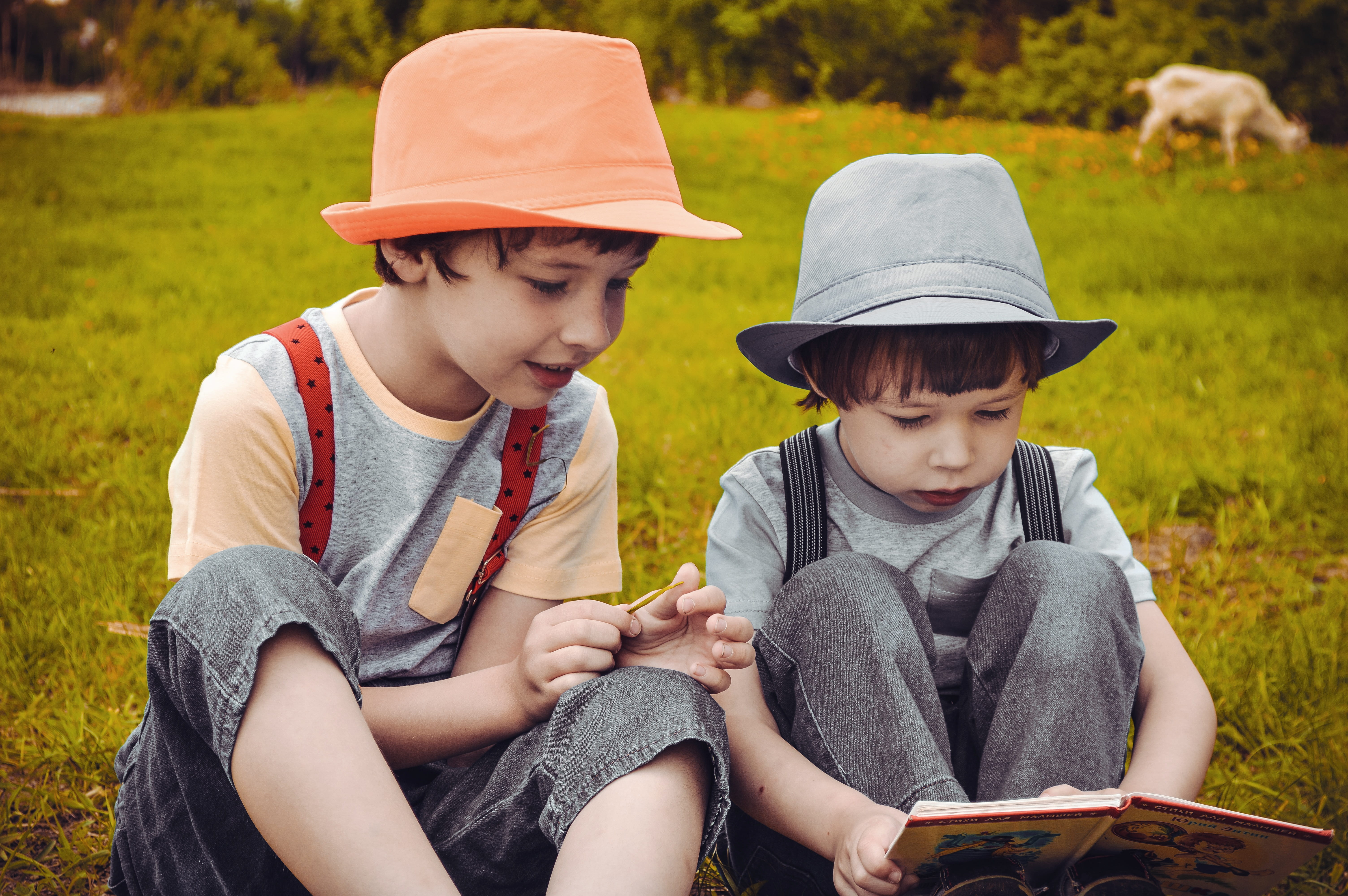 brother, outdoors, males, innocence, family, large, forest, offspring, green, reading a book, hat, leisure activity, plant, day, people, boy, grass, brothers, HD Wallpaper