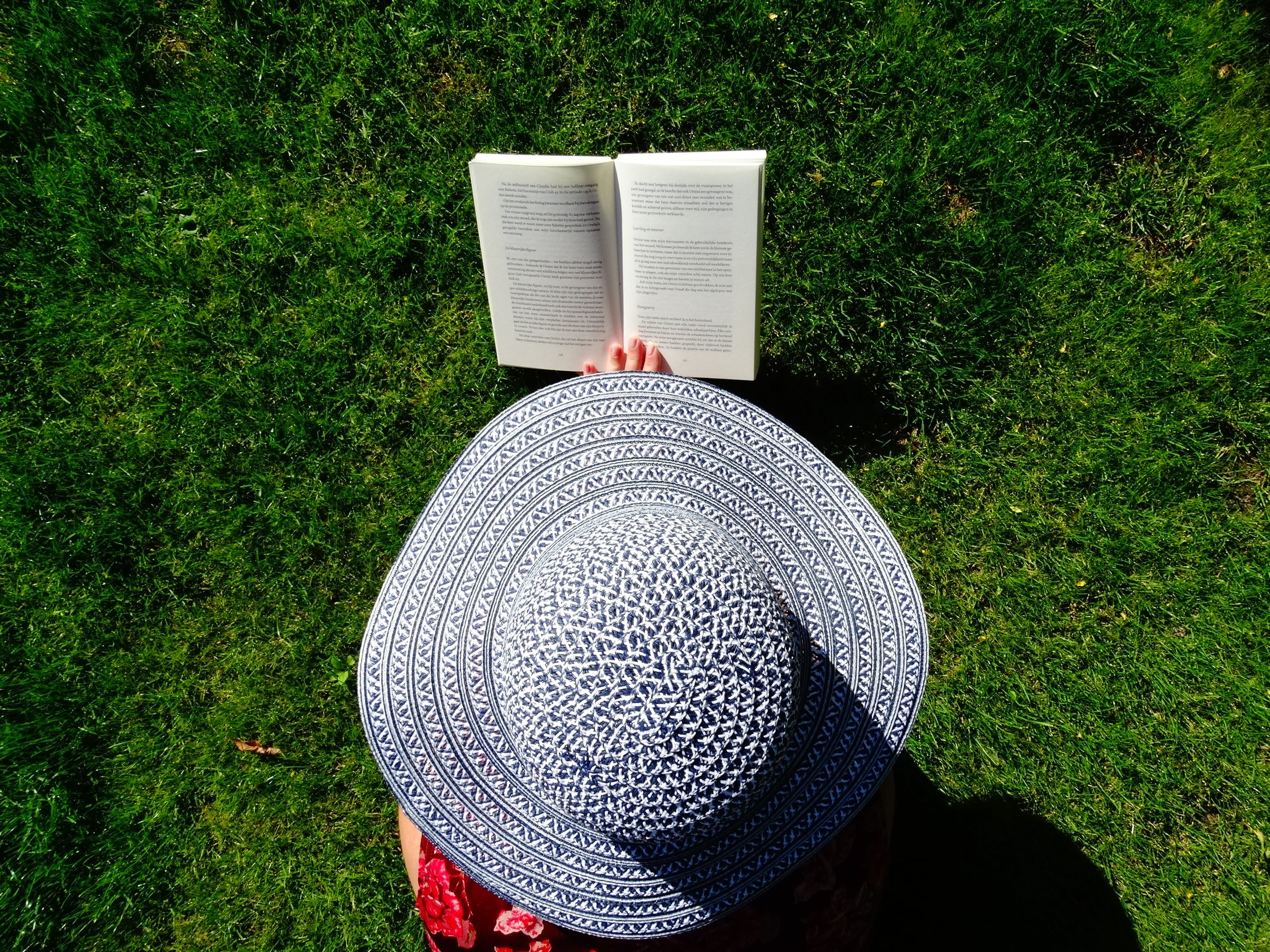day, summer, garden, green, field, books, growth, reading, nature, high angle view, land, no people, real people, sun, outdoors, park, hat, clothing, wearing, HD Wallpaper