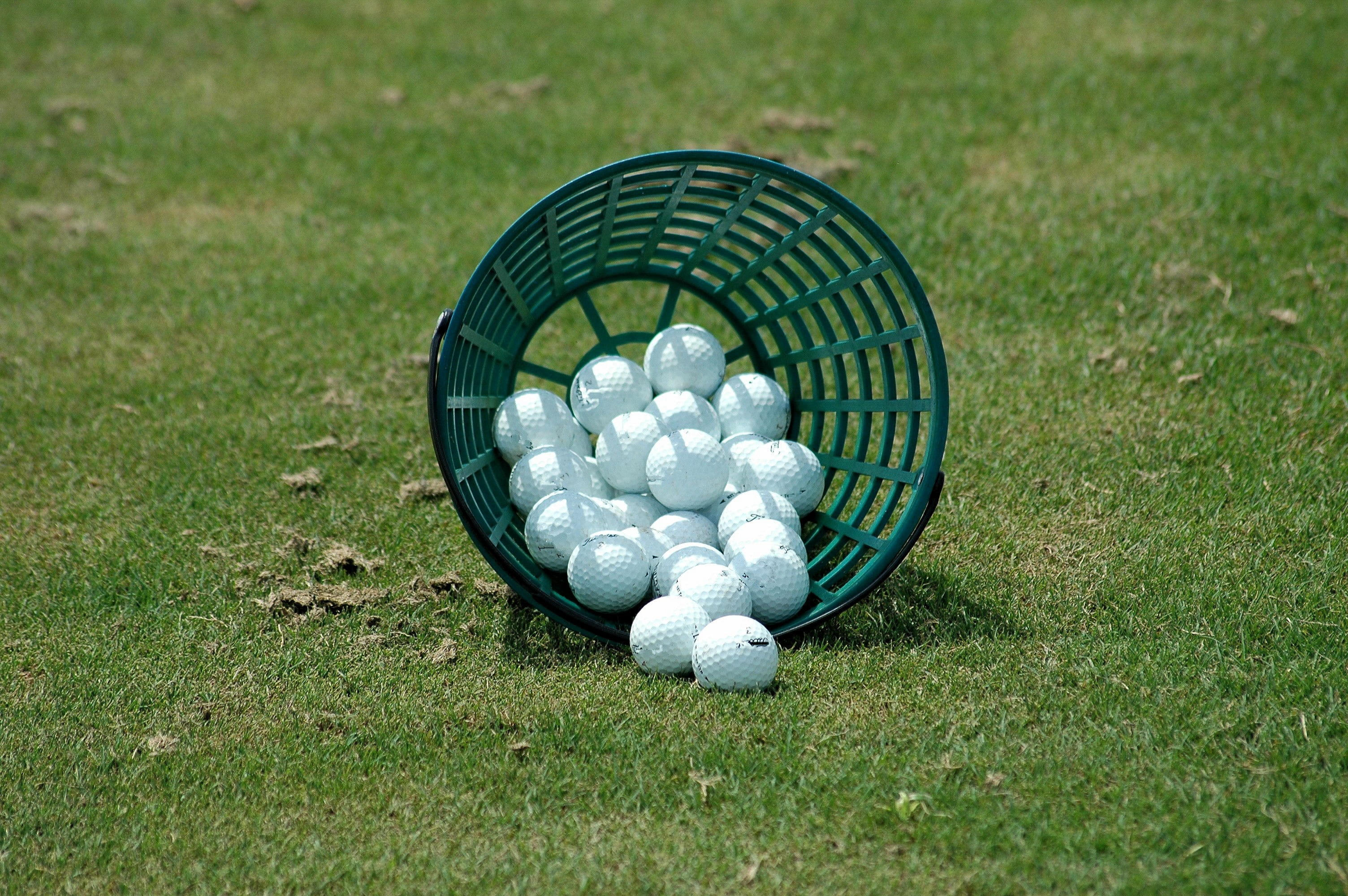 practice, exercise, leisure activity, swing, land, nature, golfing, outdoors, shape, fairway, leisure, tee, player, Sport, green color, fun, plant, field, HD Wallpaper