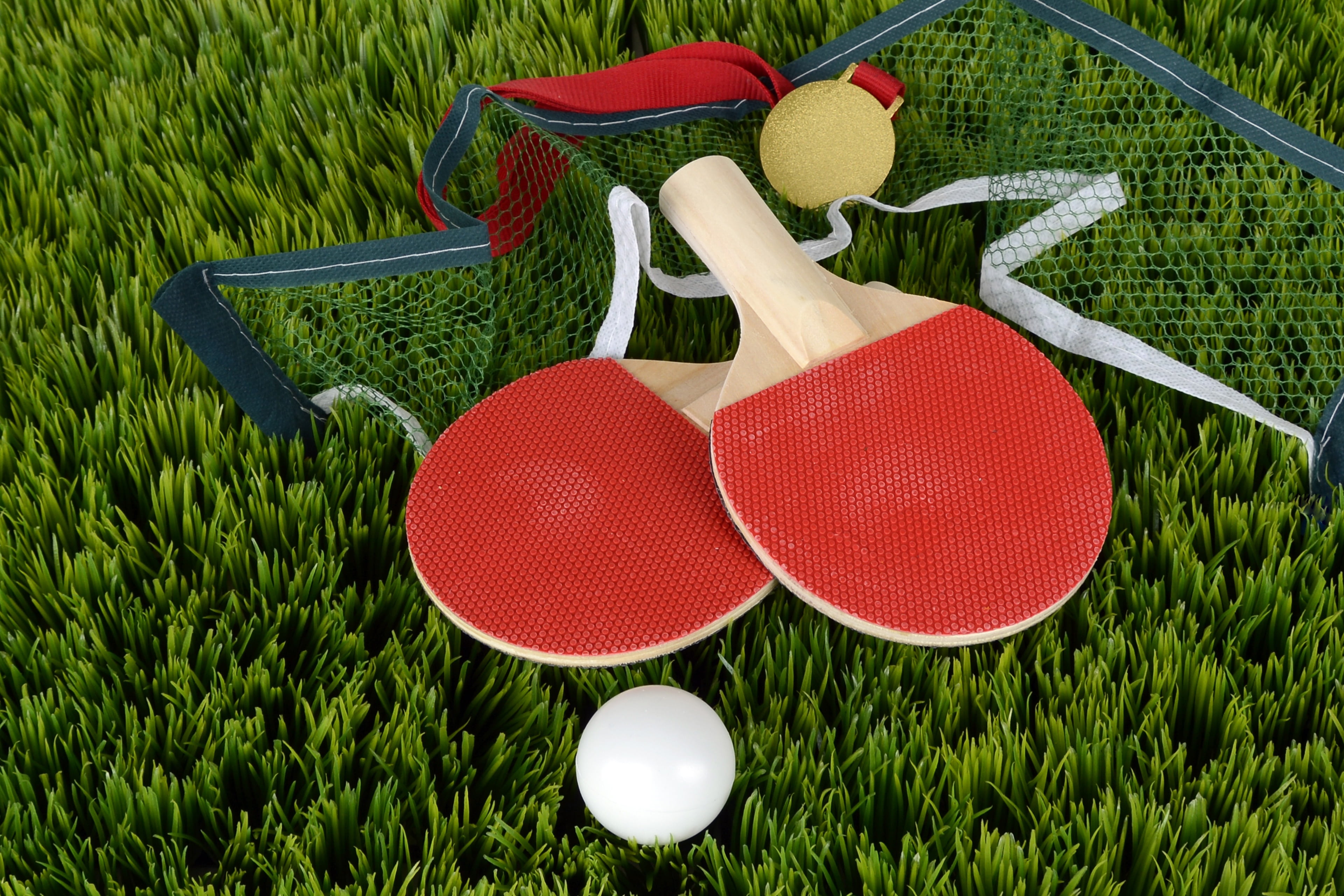 art and craft, competition, game device, ping, two, table tennis bat, day, white, freshness, racket, ping-pong, grass, no people, plant, green color, 4K, HD Wallpaper