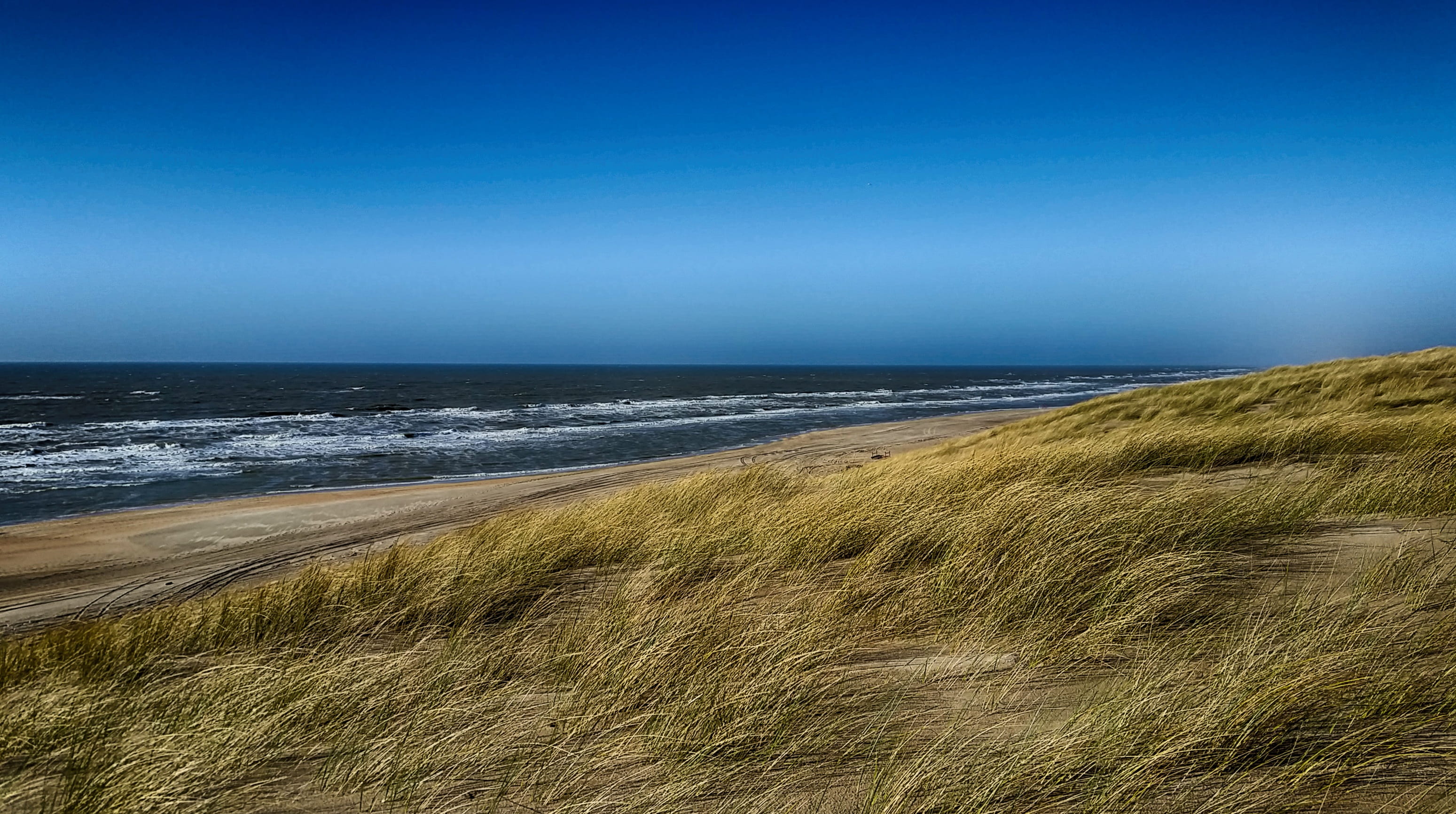 travel, beauty in nature, hdr, beach, clear sky, sky, water, ocean, coast, horizon over water, coastal landscape, green grass, green, clouds, tranquility, HD Wallpaper