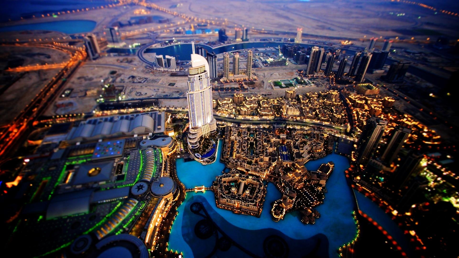 lights, 1080P, city, skyscrapers, sky, animals, focal, dubai, view, HD Wallpaper
