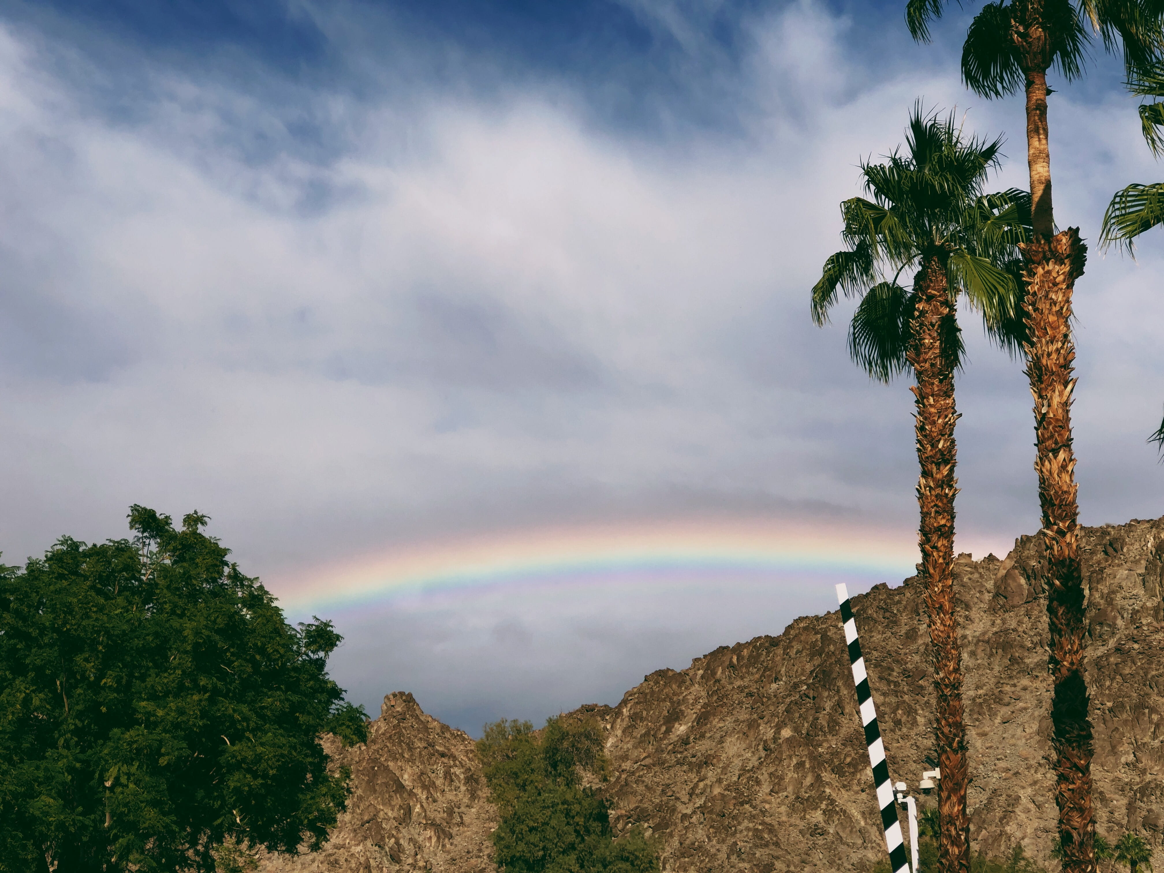 day, cloud - sky, multi colored, 49499 eisenhower dr, purple, beauty in nature, united states, nature, blue, no people, palm springs, green, palm tree, HD Wallpaper